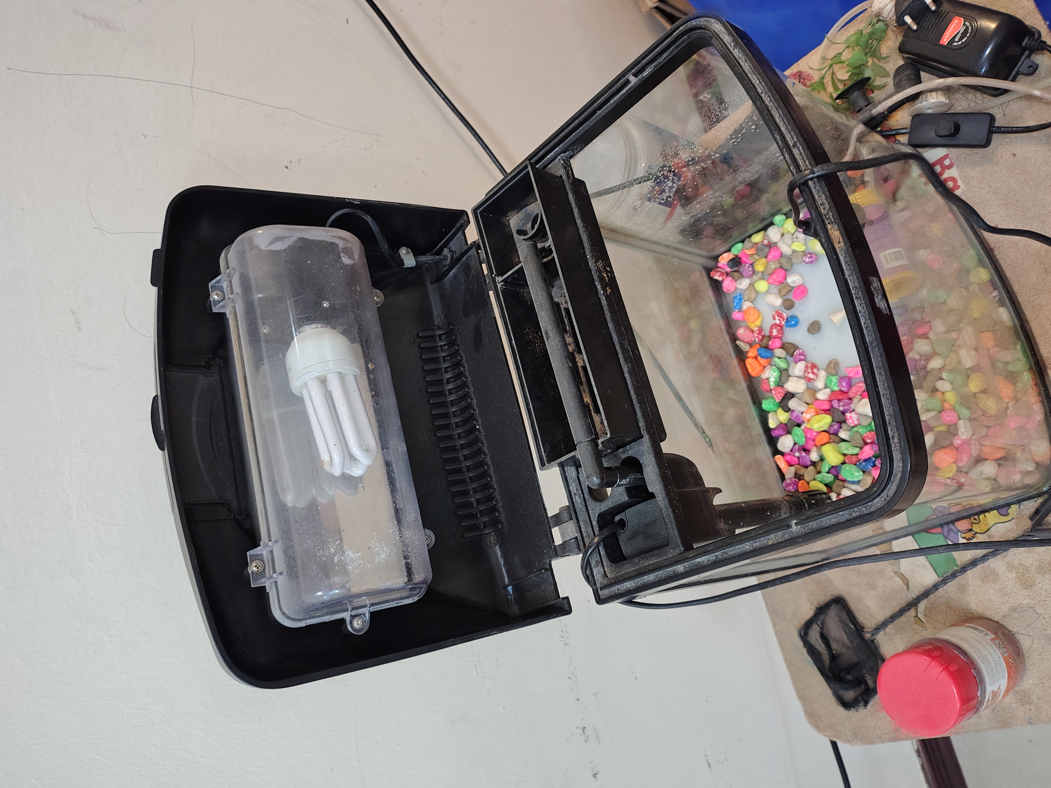 smalll aquarium for sale - Image 2