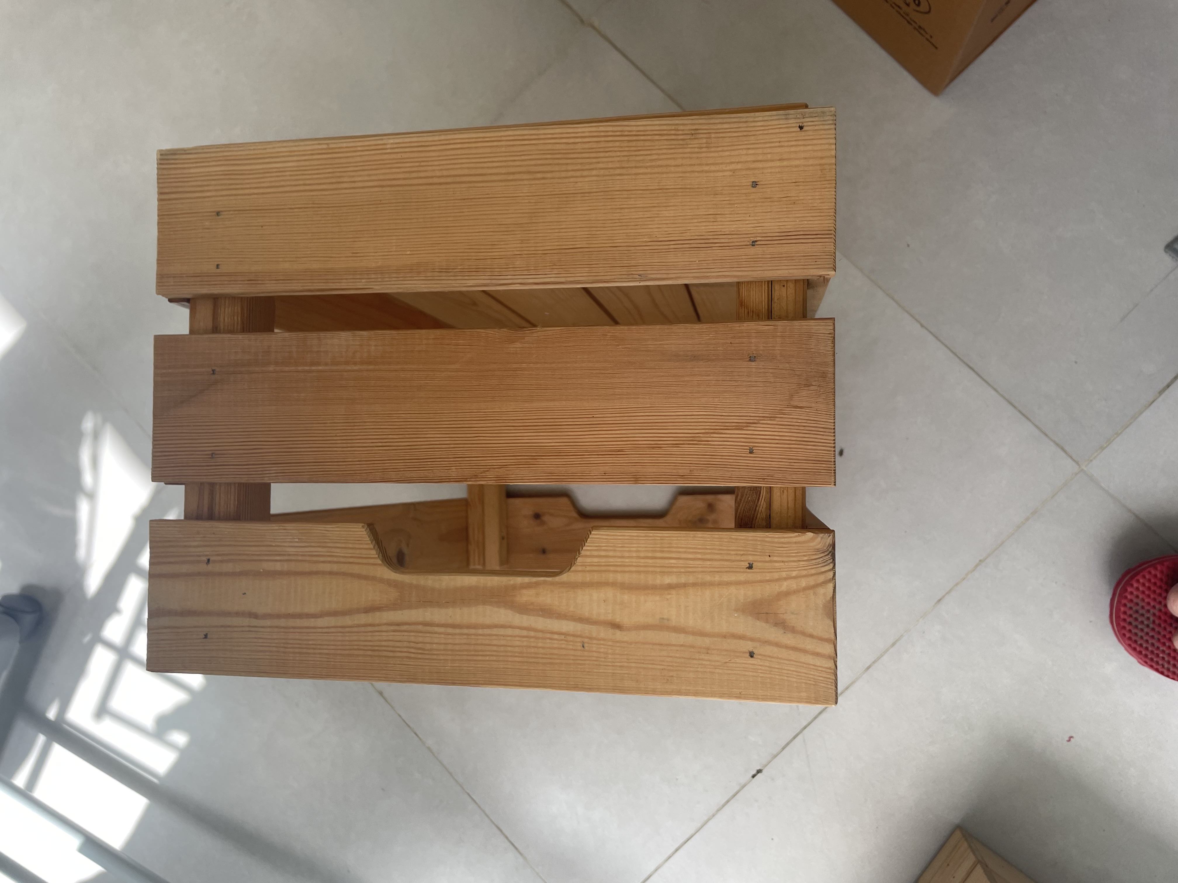 Box pine - Image 4