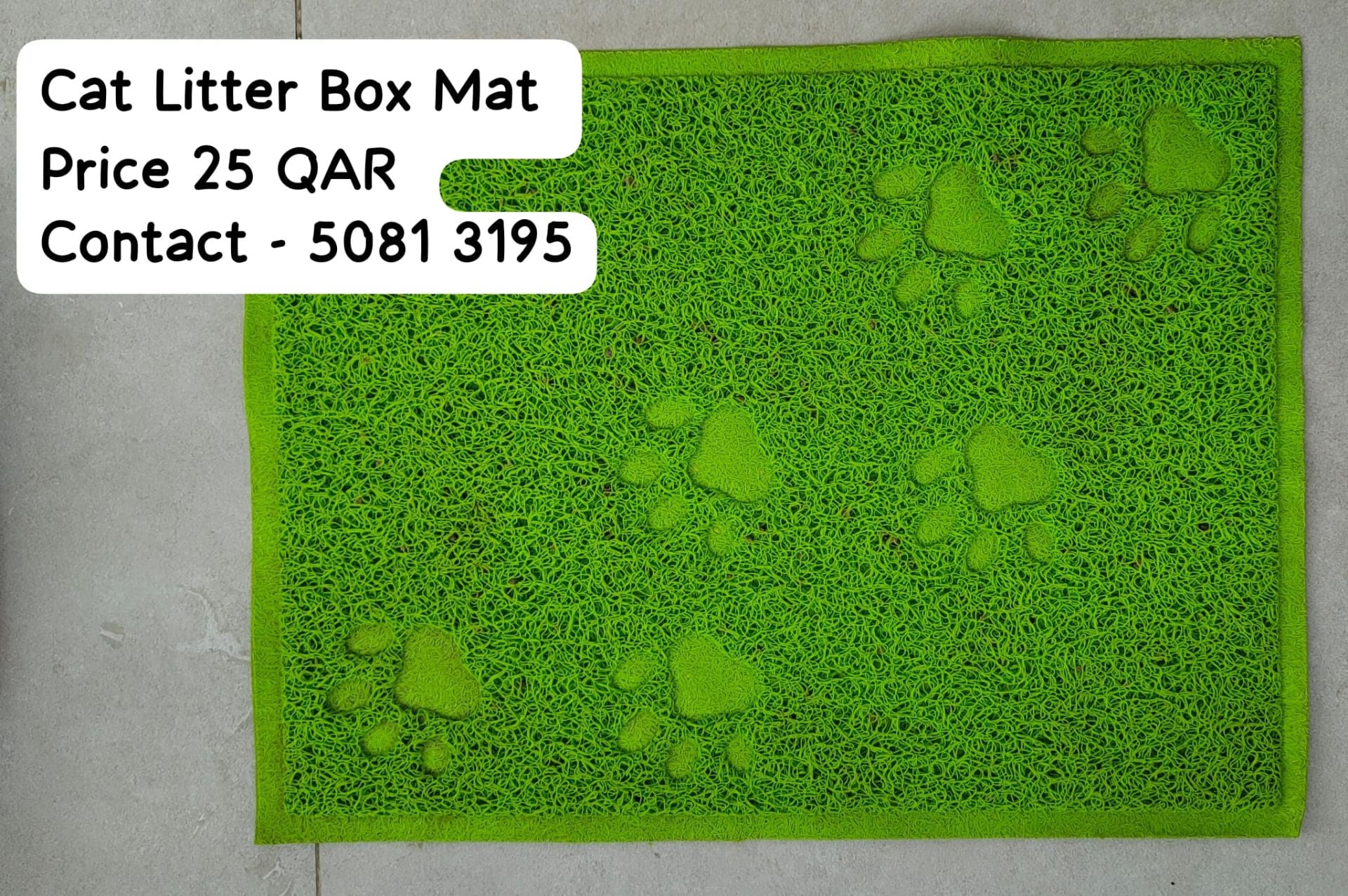 Carrier, Litter Box etc ... - Image 4
