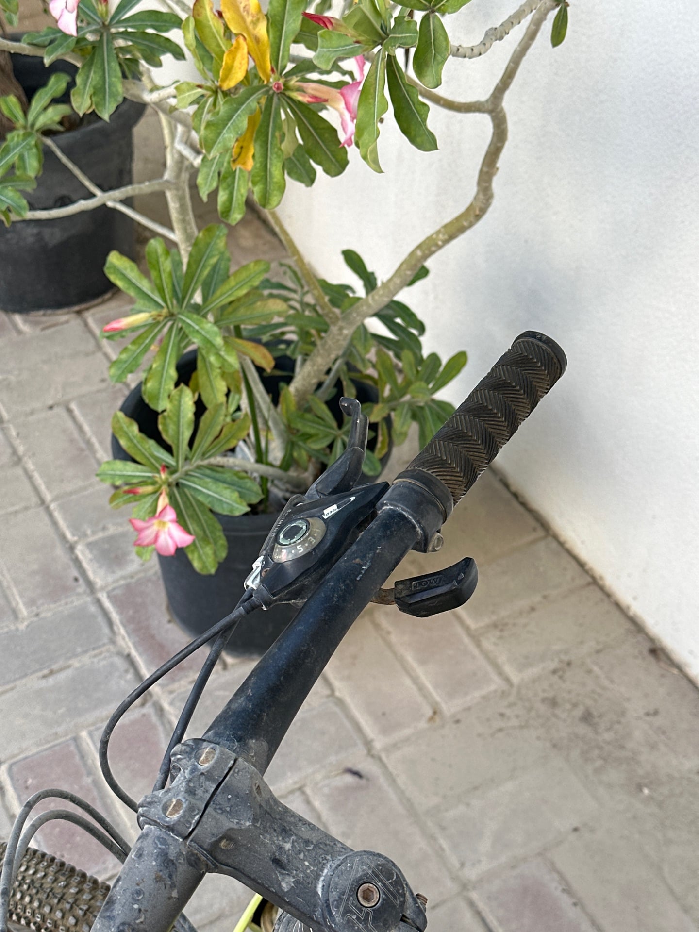 Kids Bicycle (only tire to be changed) - Image 3
