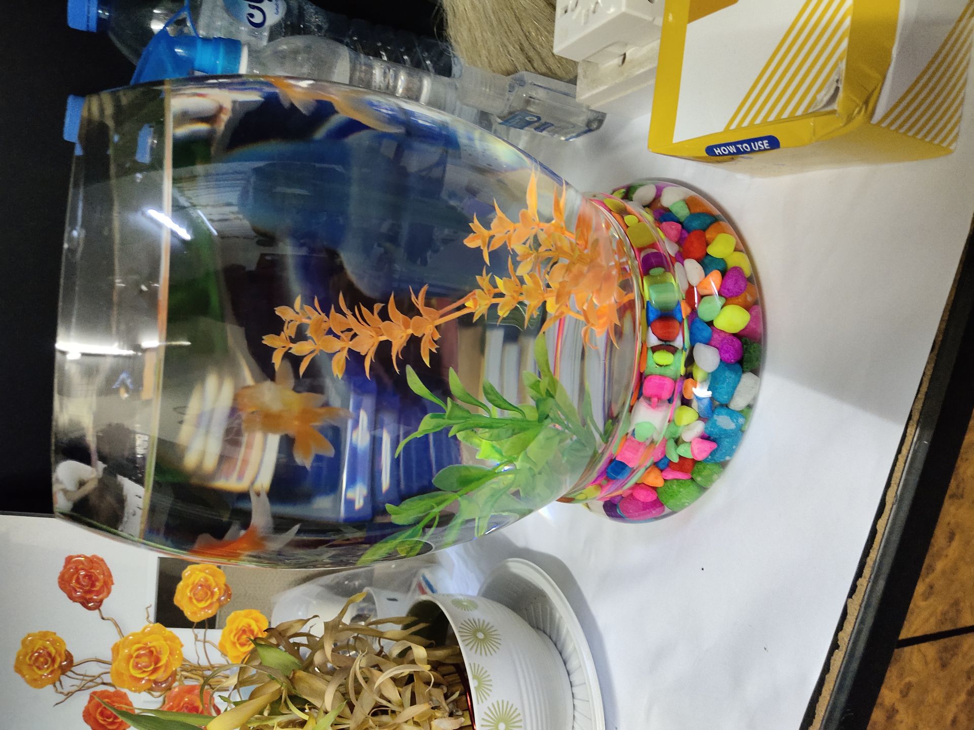 Fish Bowl And color stones - Image 4