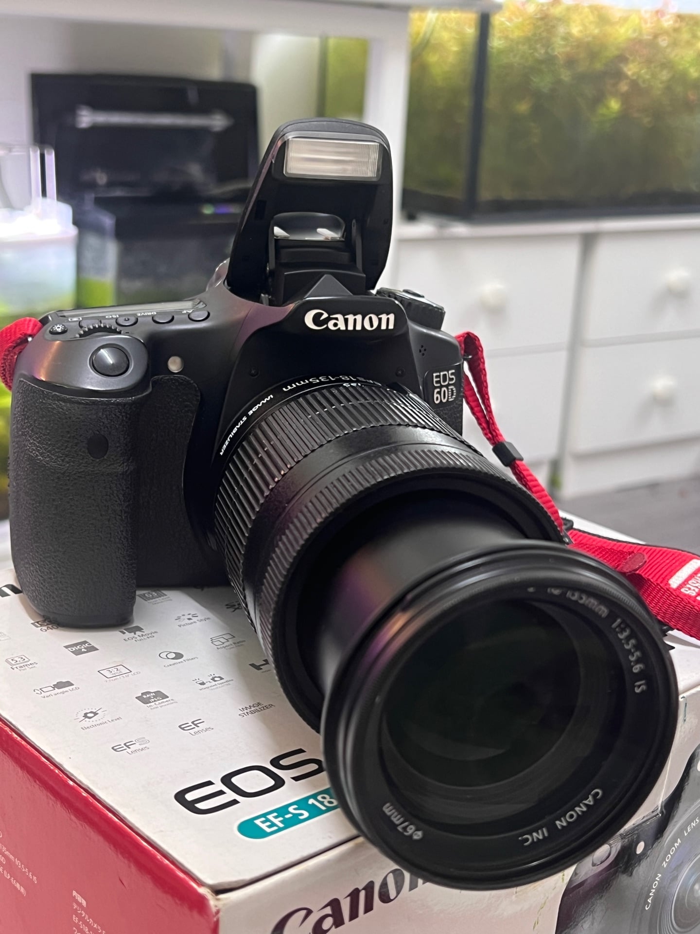 Canon 60D with 18-135 canon lens - Image 5