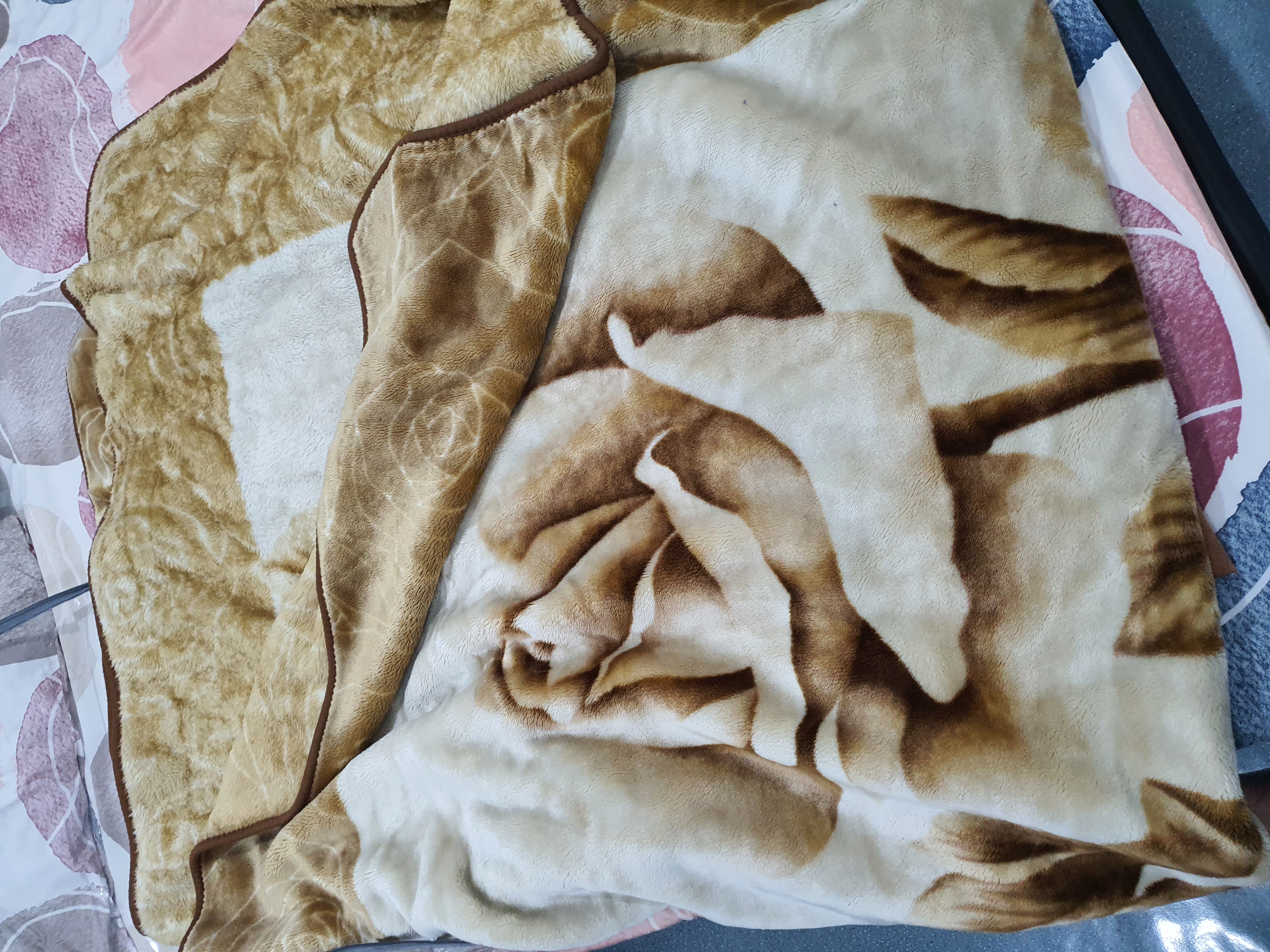 Blanket for sale (Mora, Spain) - Image 4