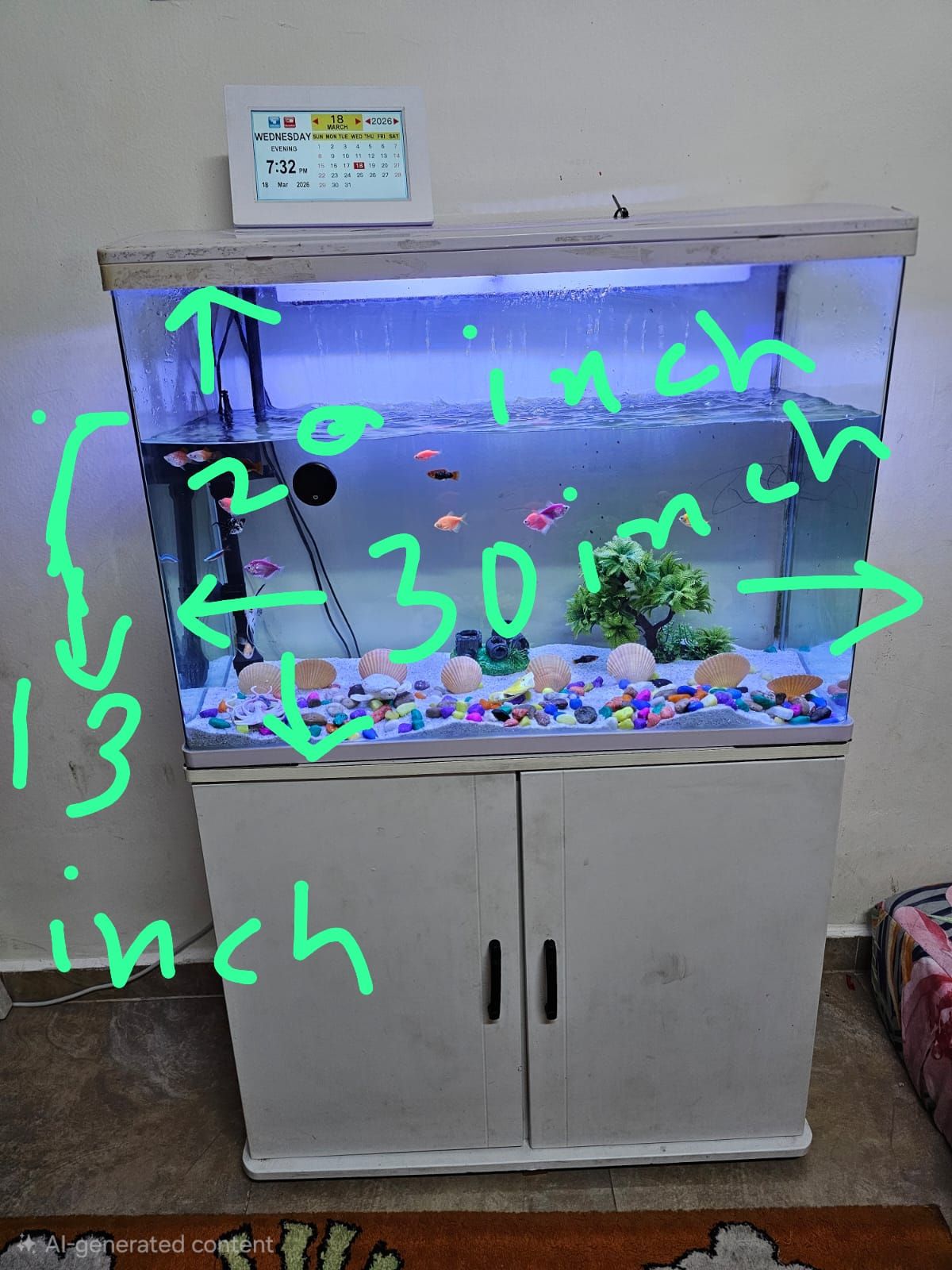 Aquarium - Image 1