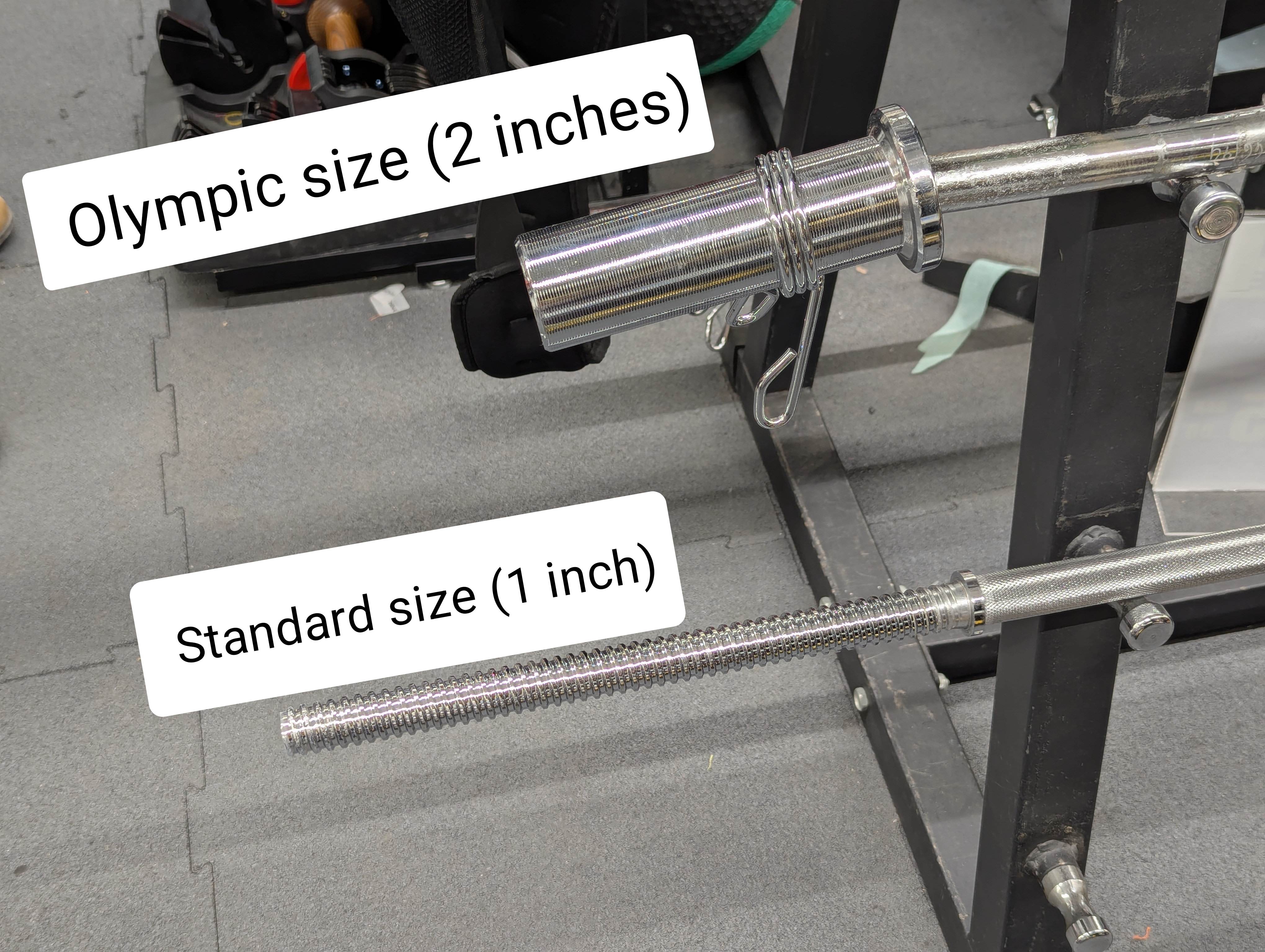Slide 5