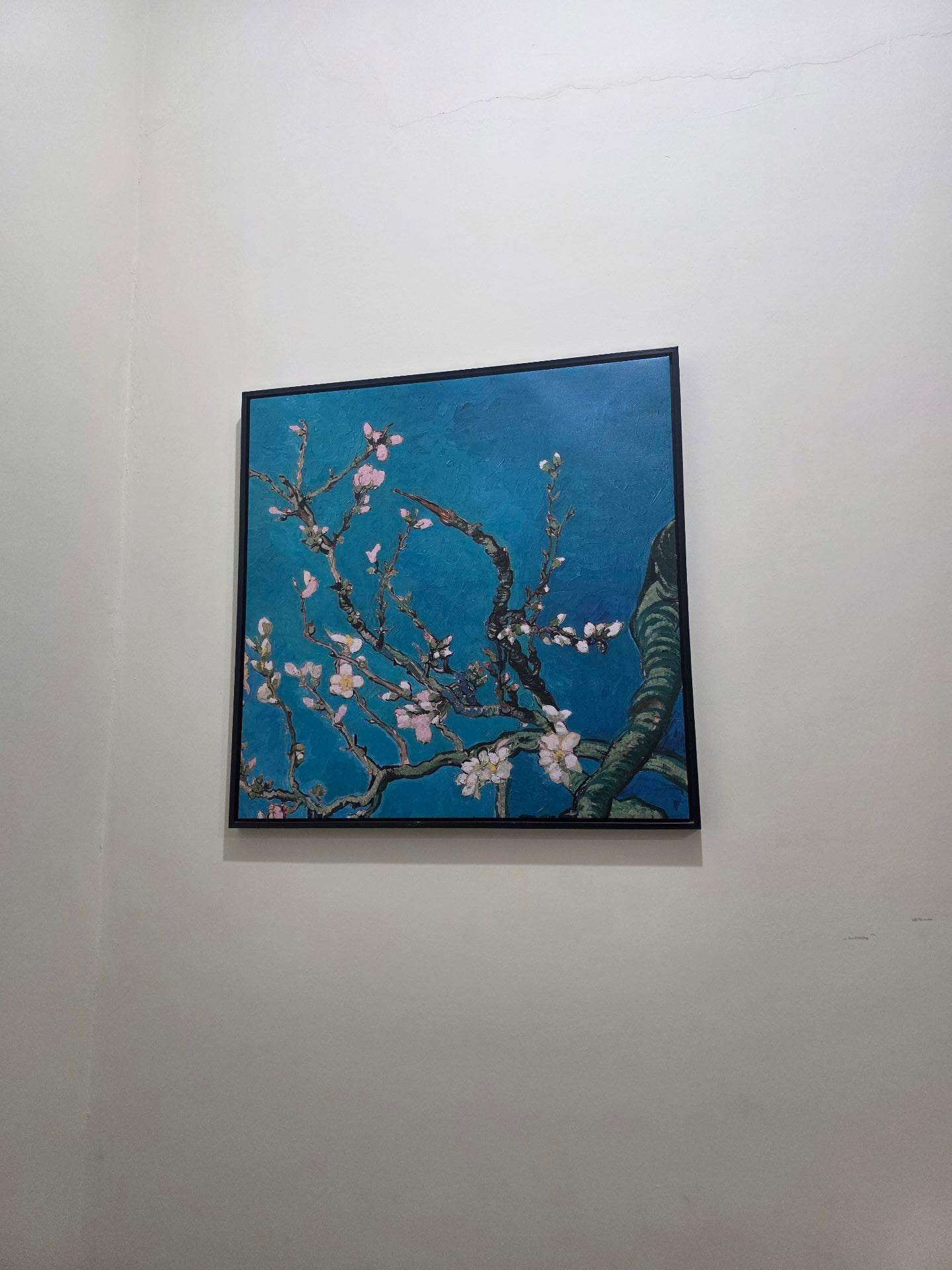Wall frames for sale - Image 4