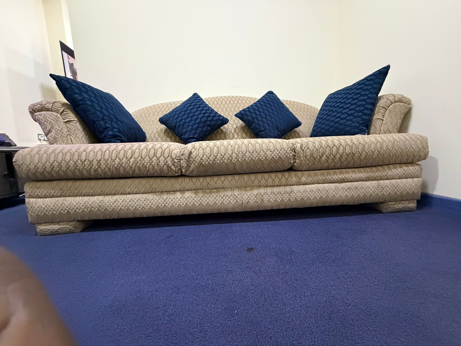 03 seater sofa with pillow - Image 2