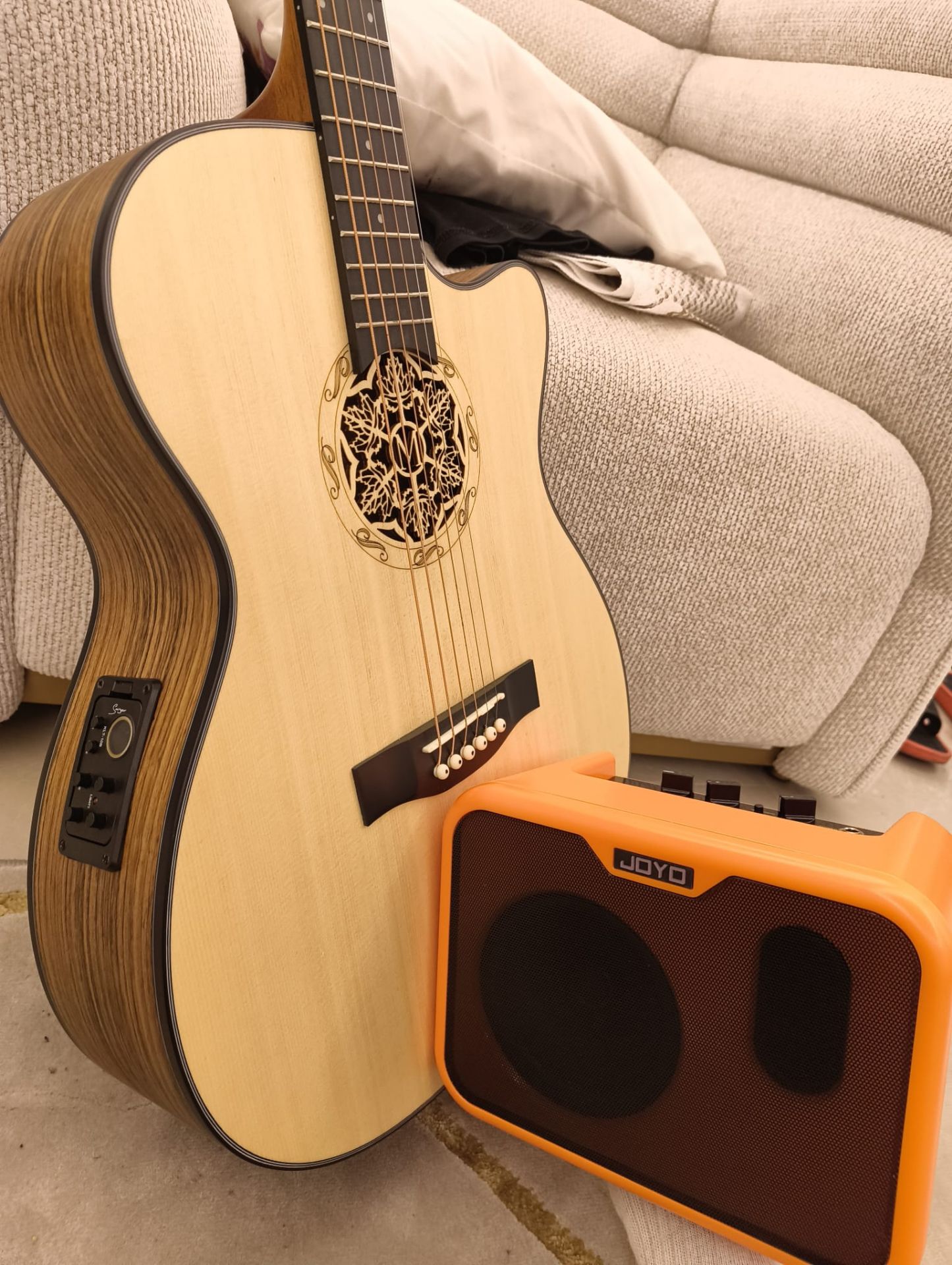 Acoustic Guitar with Apm - Image 1