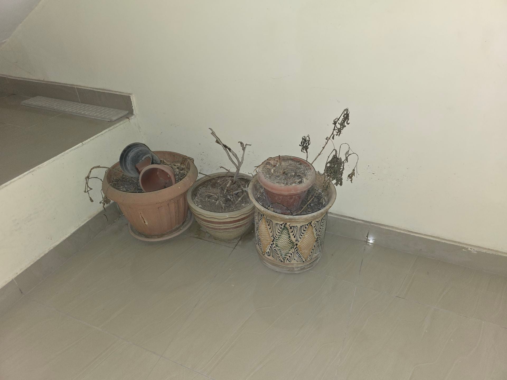 Flowers planting pots  - Image 3