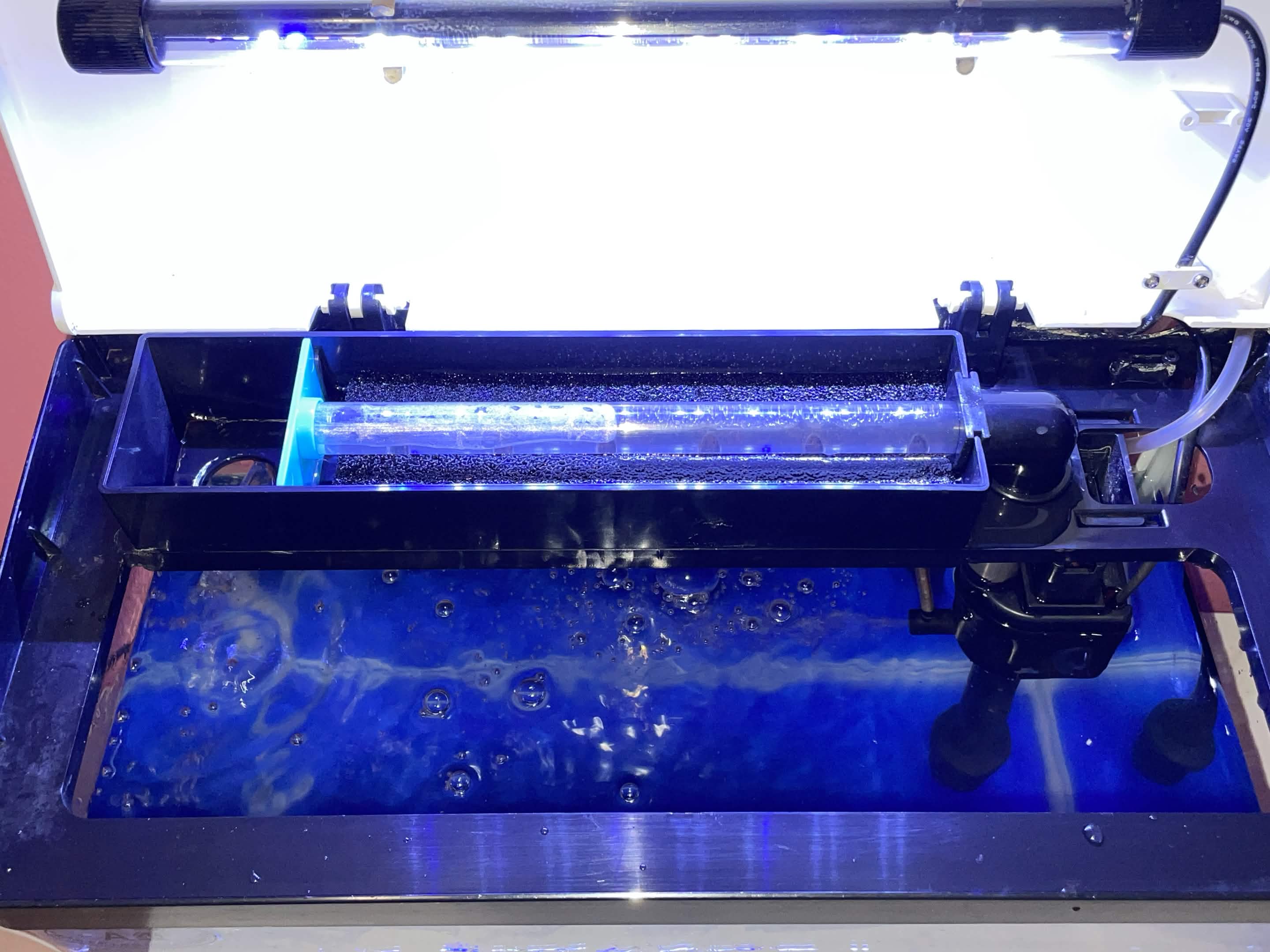 19 Liter/5.1 Gallon Fish Tank - Image 5