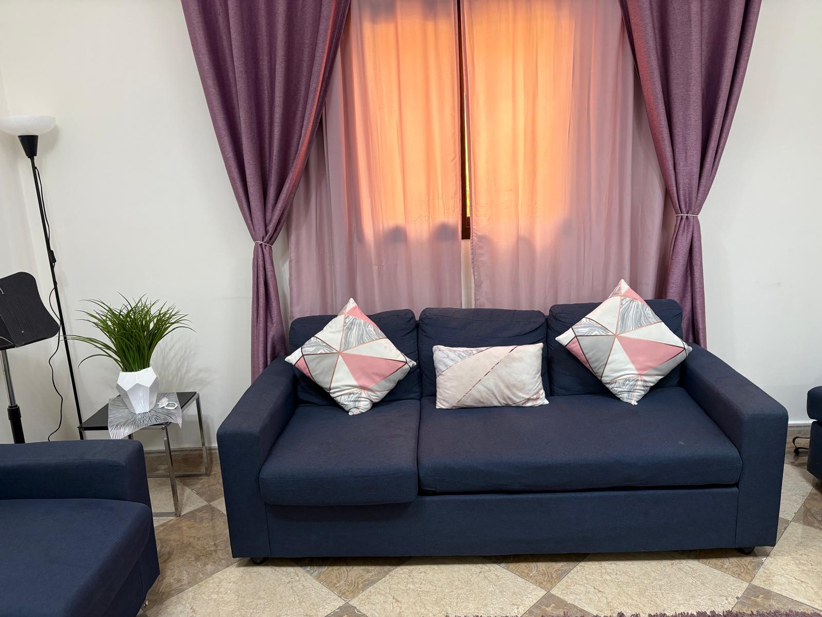 Used Sofa (without cushions) - Image 2