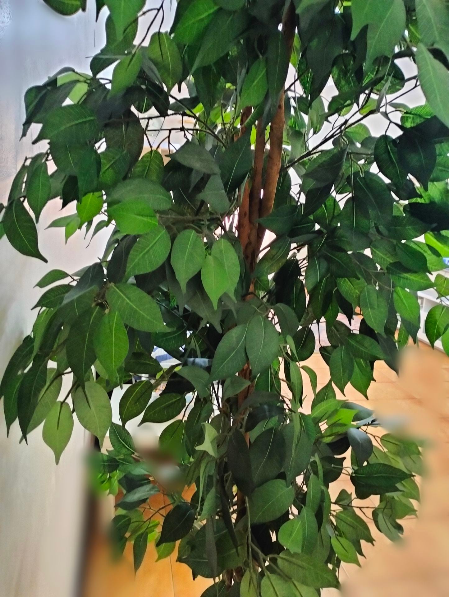 Artificial plant - Image 4