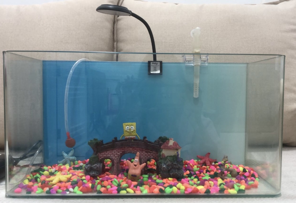 Kids friendly Aquarium - Image 3