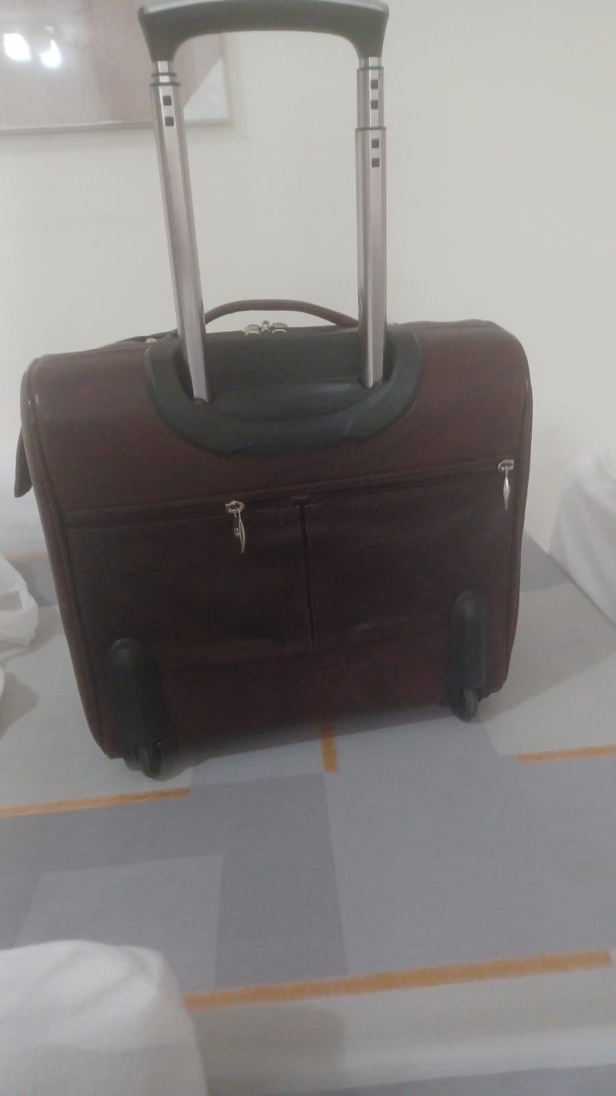 Executive trolly bag (Pure Leather) - Image 2