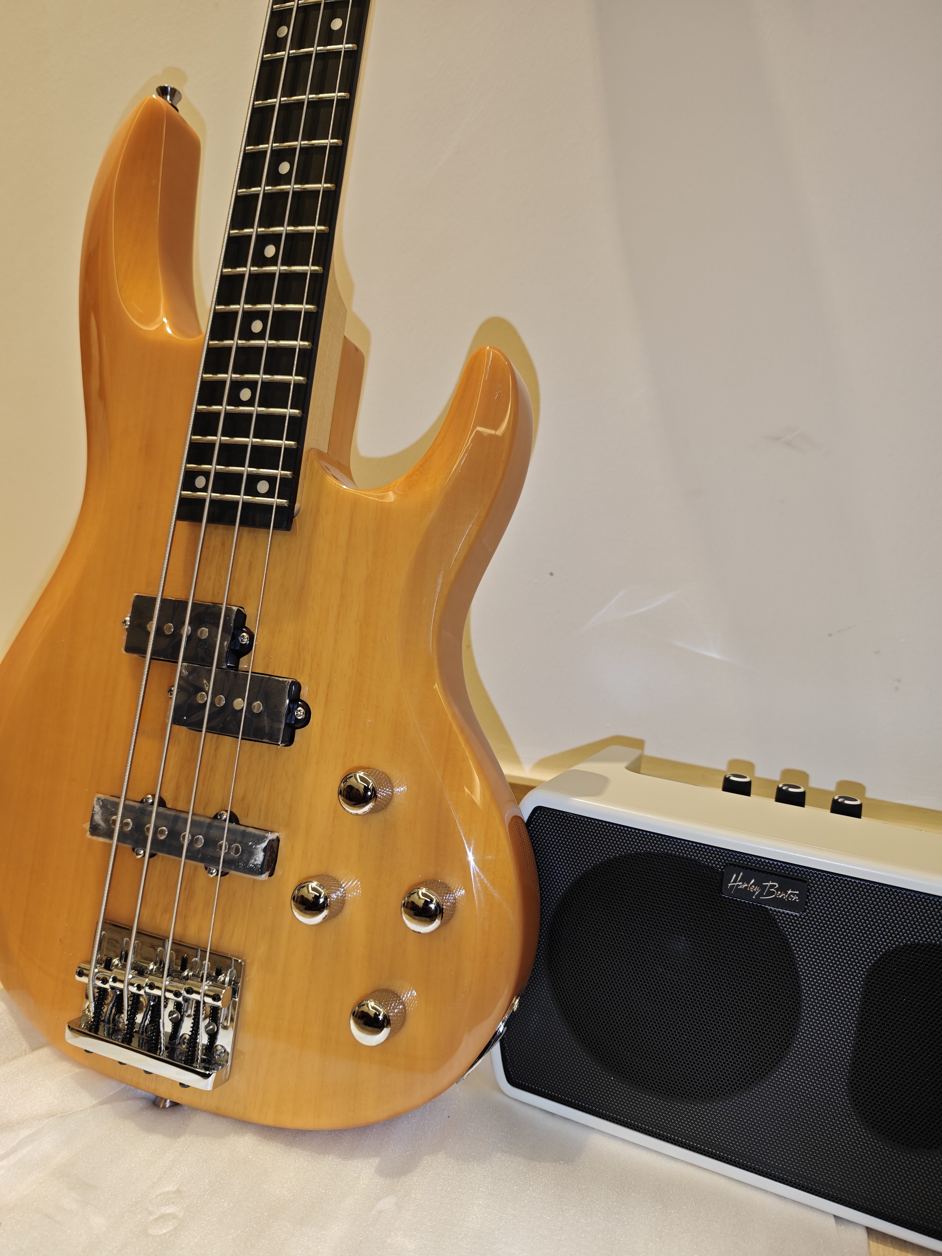 Bass Guitar + Bass Amp - Image 4