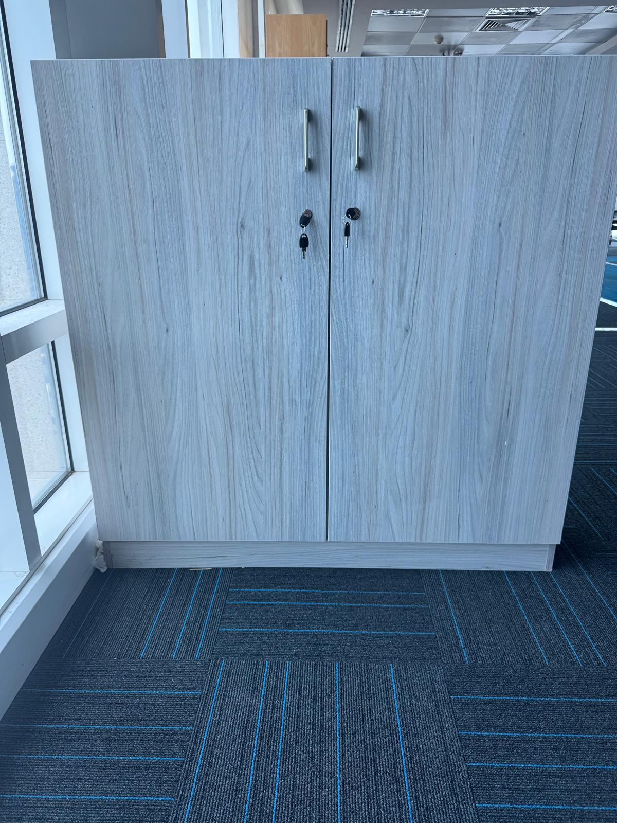 2 DOOR OFFICE CUPBOARD - Image 1
