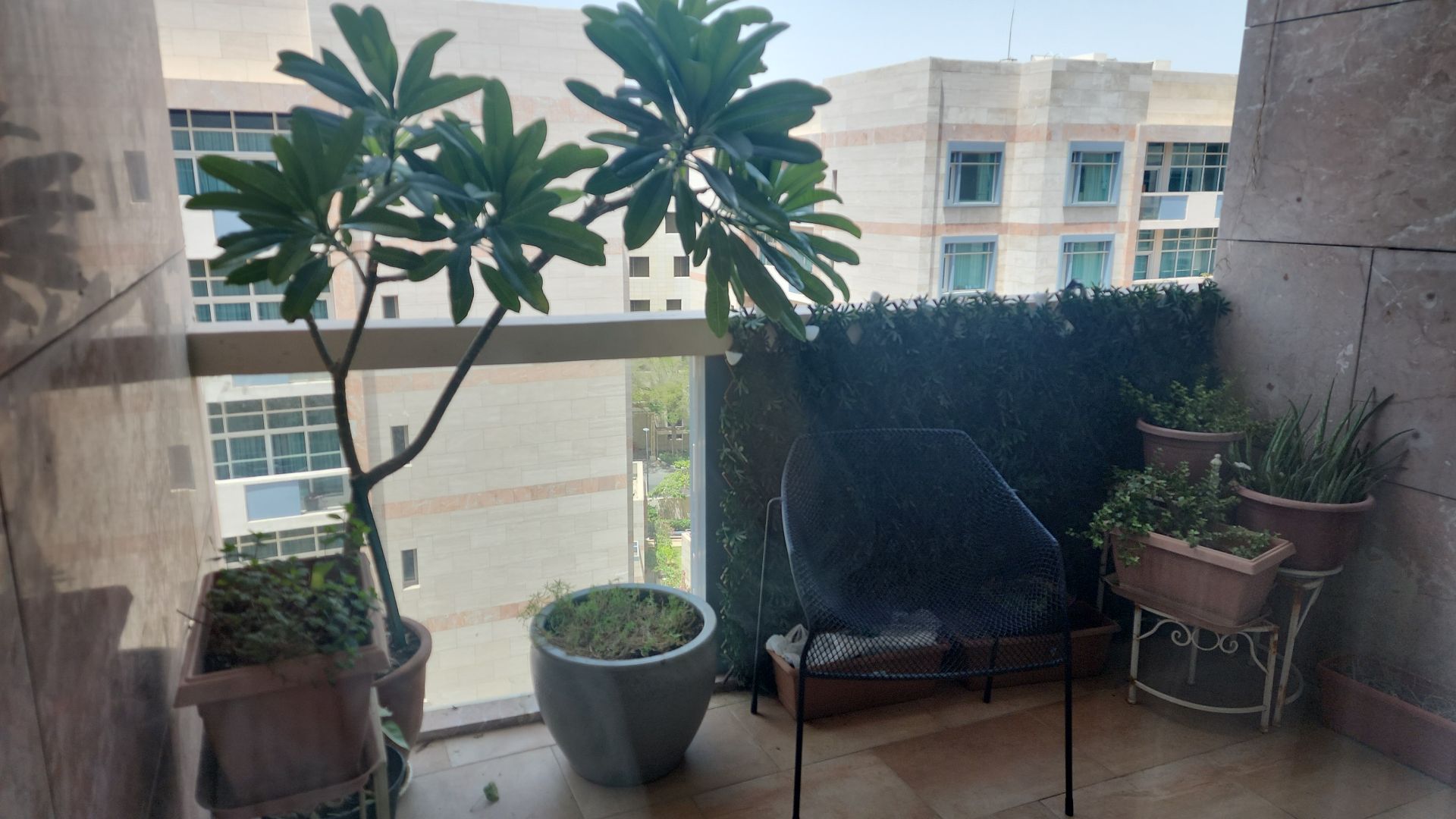 Plants  - Image 5