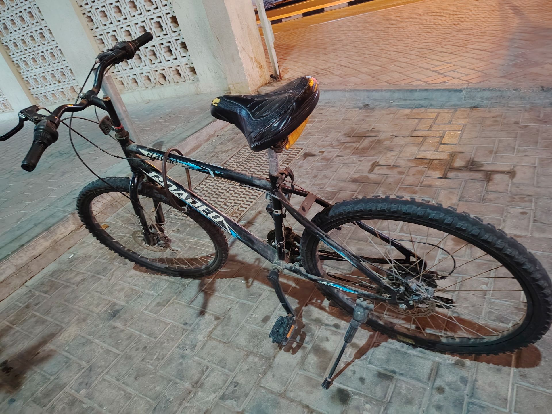 Used Good condition Cycle for Sale  - Image 3