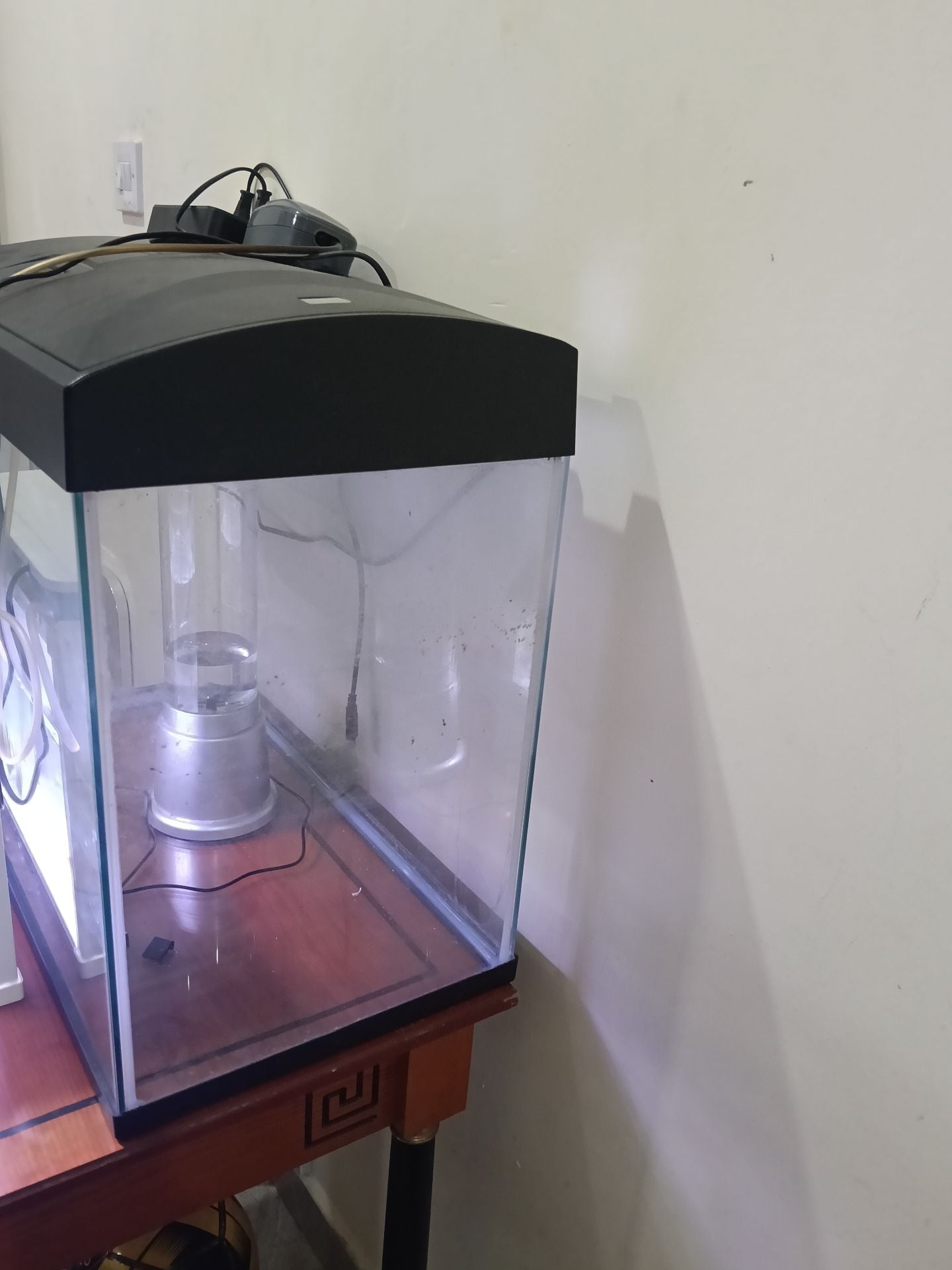 Fish tank - Image 1