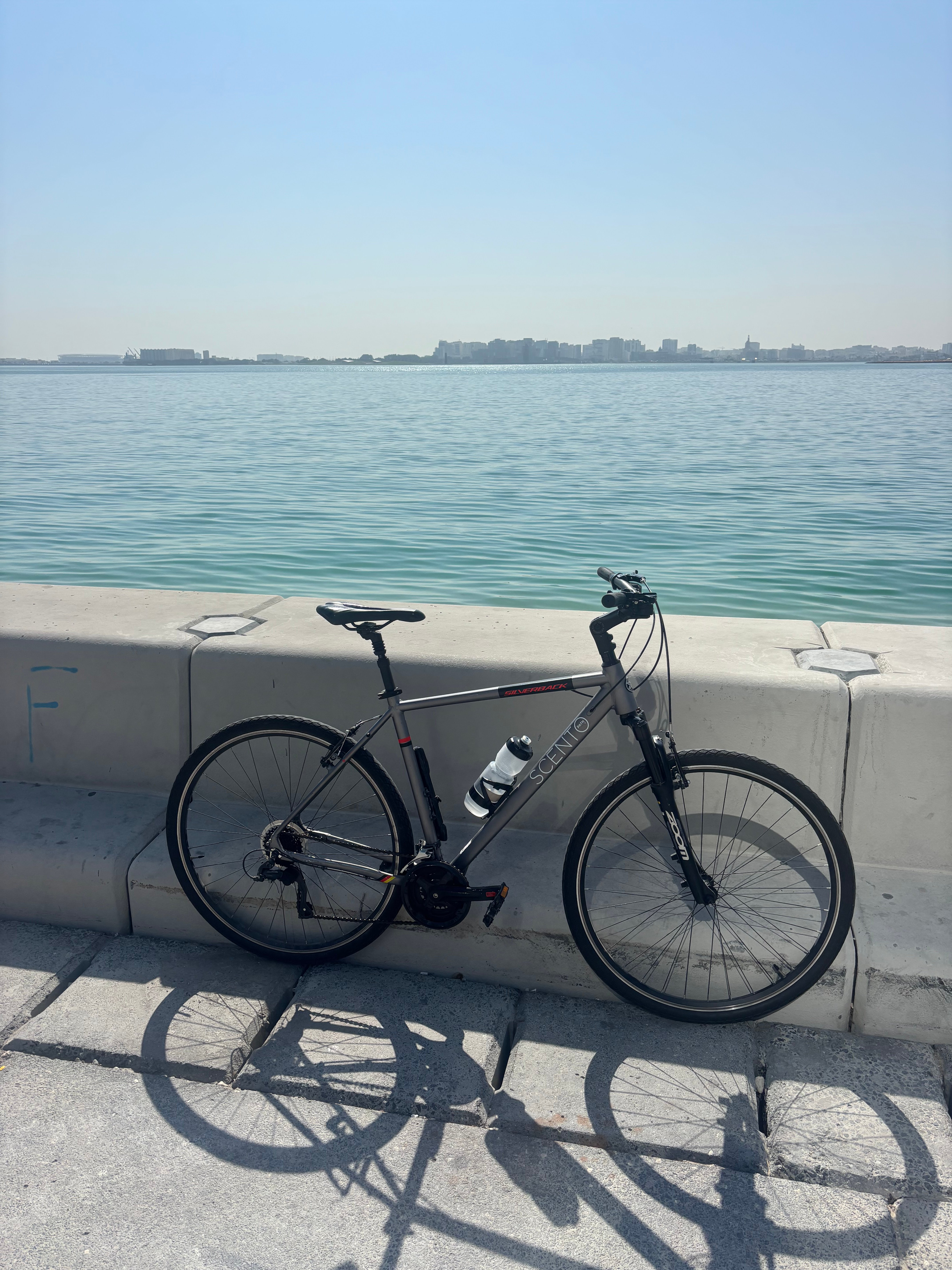 Silverback large bicycle - Image 1