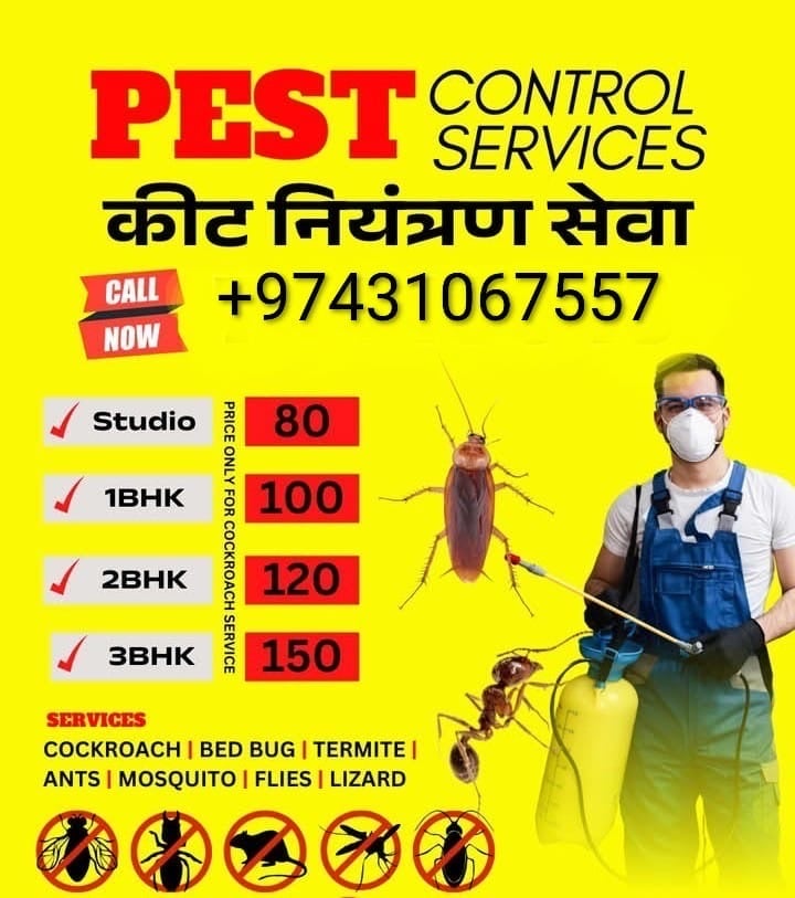 Cleaning and Pest control Services - Image 5