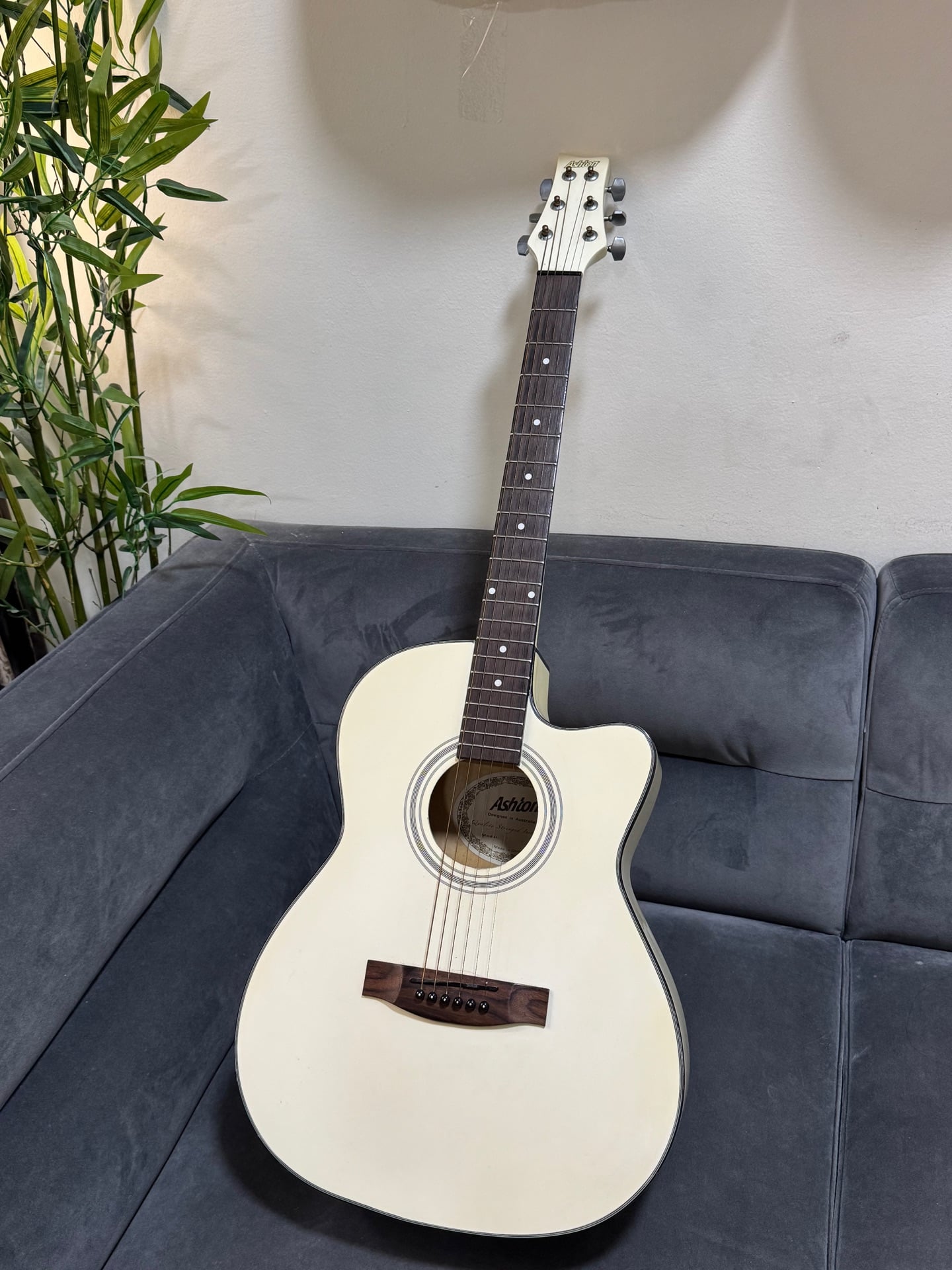 Ashton acoustic guitar - Image 3