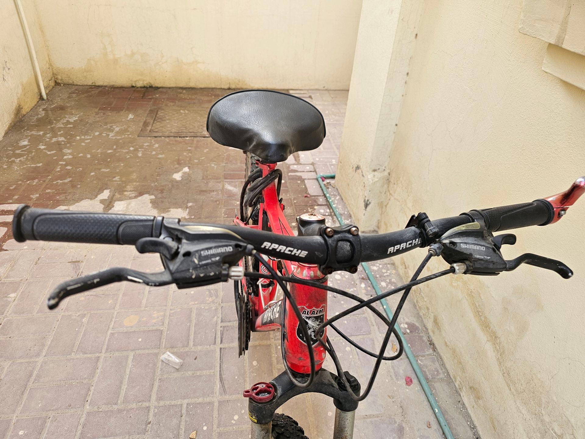 American cycle - Image 1