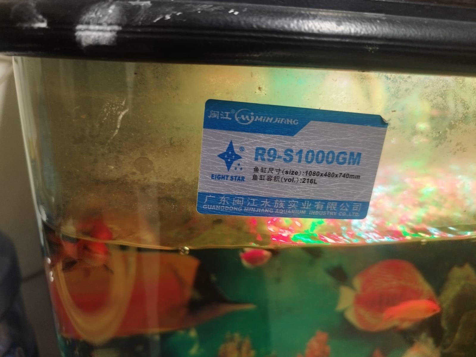 Aquarium with all items - Image 1