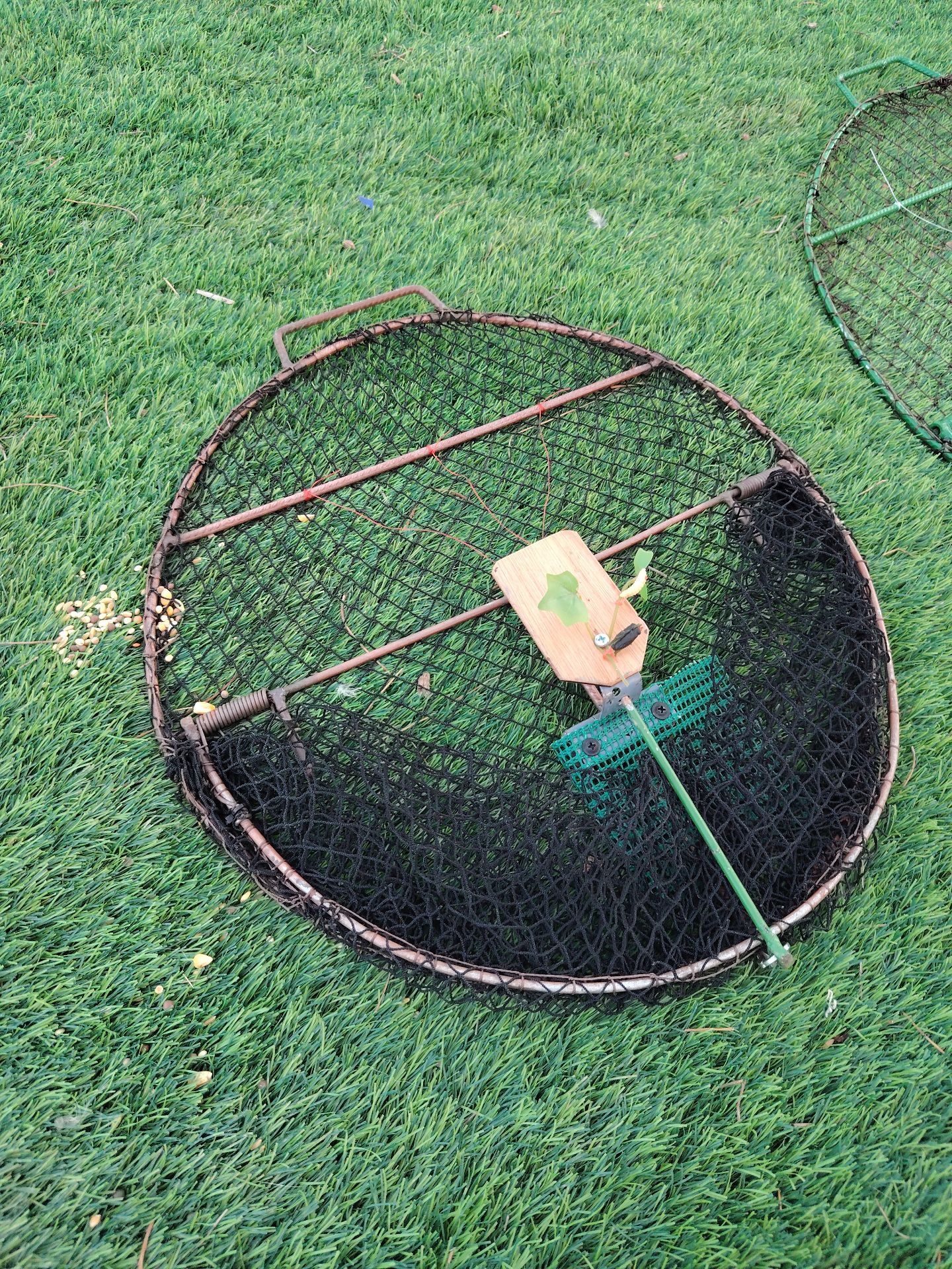 Slide 5