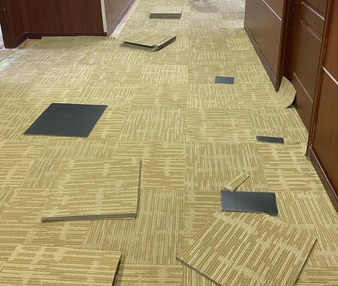 Qatar carpat  - Image 9