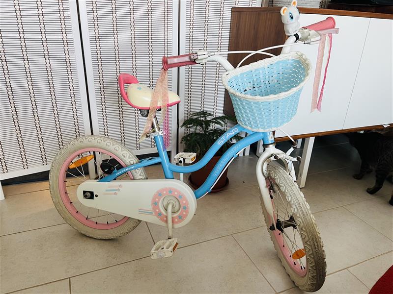 Royalbaby Stargirl Bicycle – 16” - Image 1