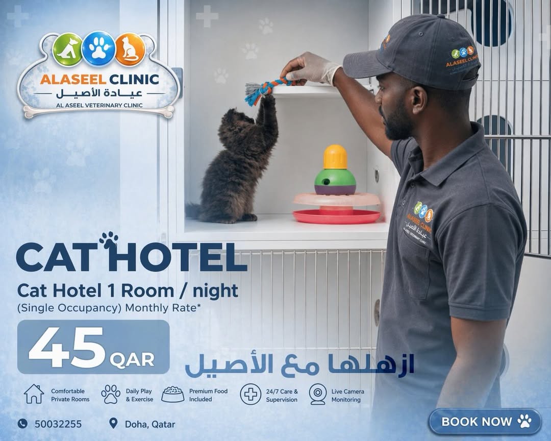 Al Aseel Pet Hotel—Premium Cat/Dog Boarding | 45 QAR / Night