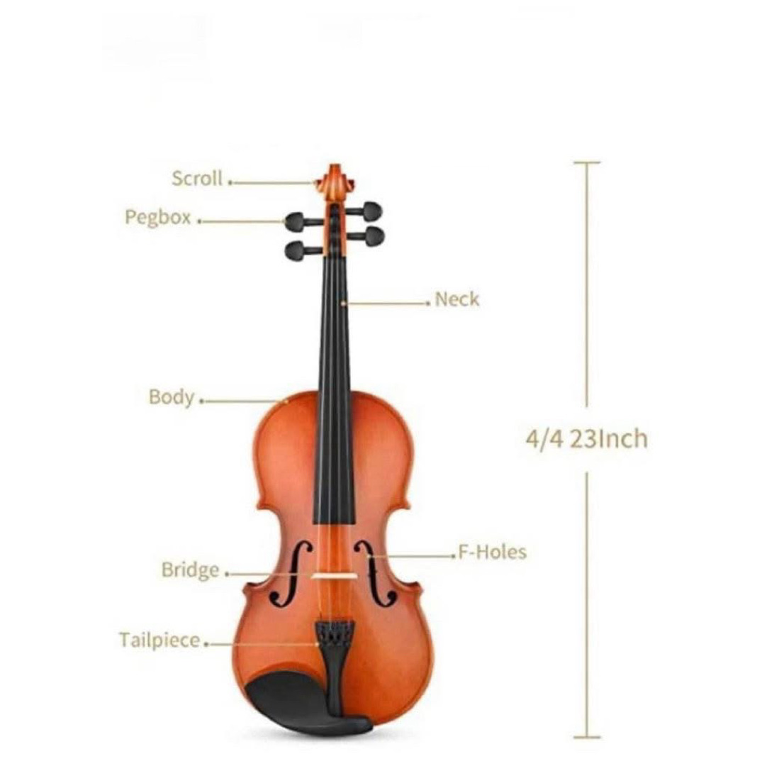Violin 4/4 - Image 3