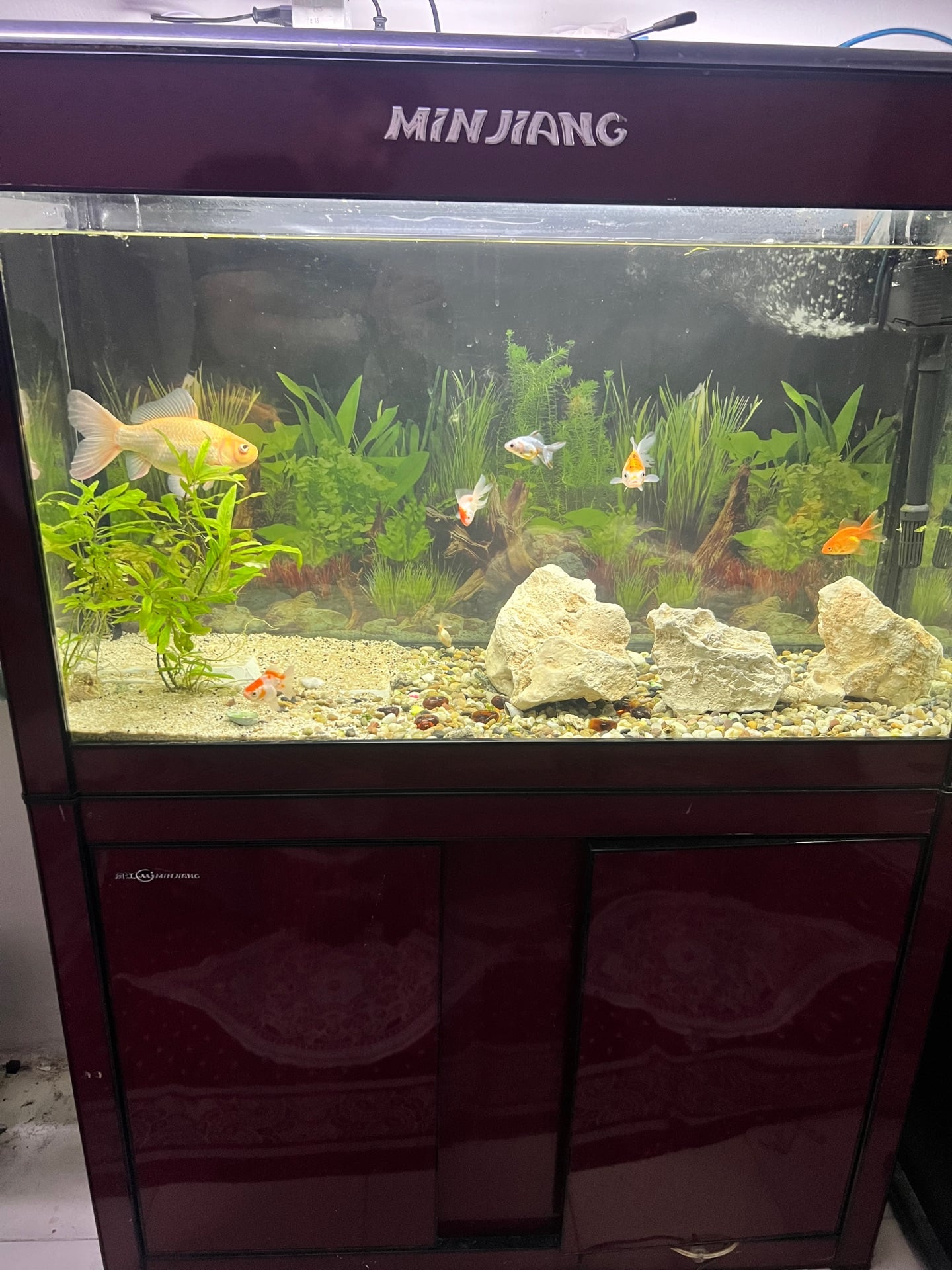 Aquarium full set - Image 2