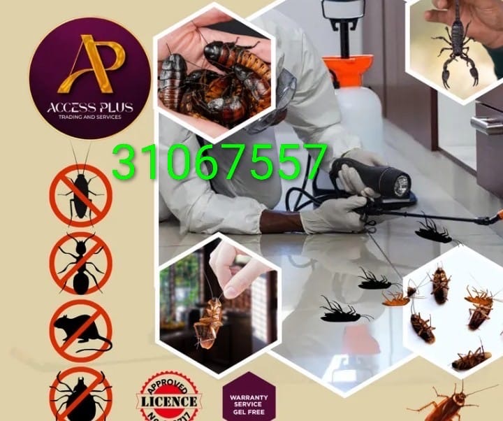 Professional cleaning and pest control services in Qatar - Image 3