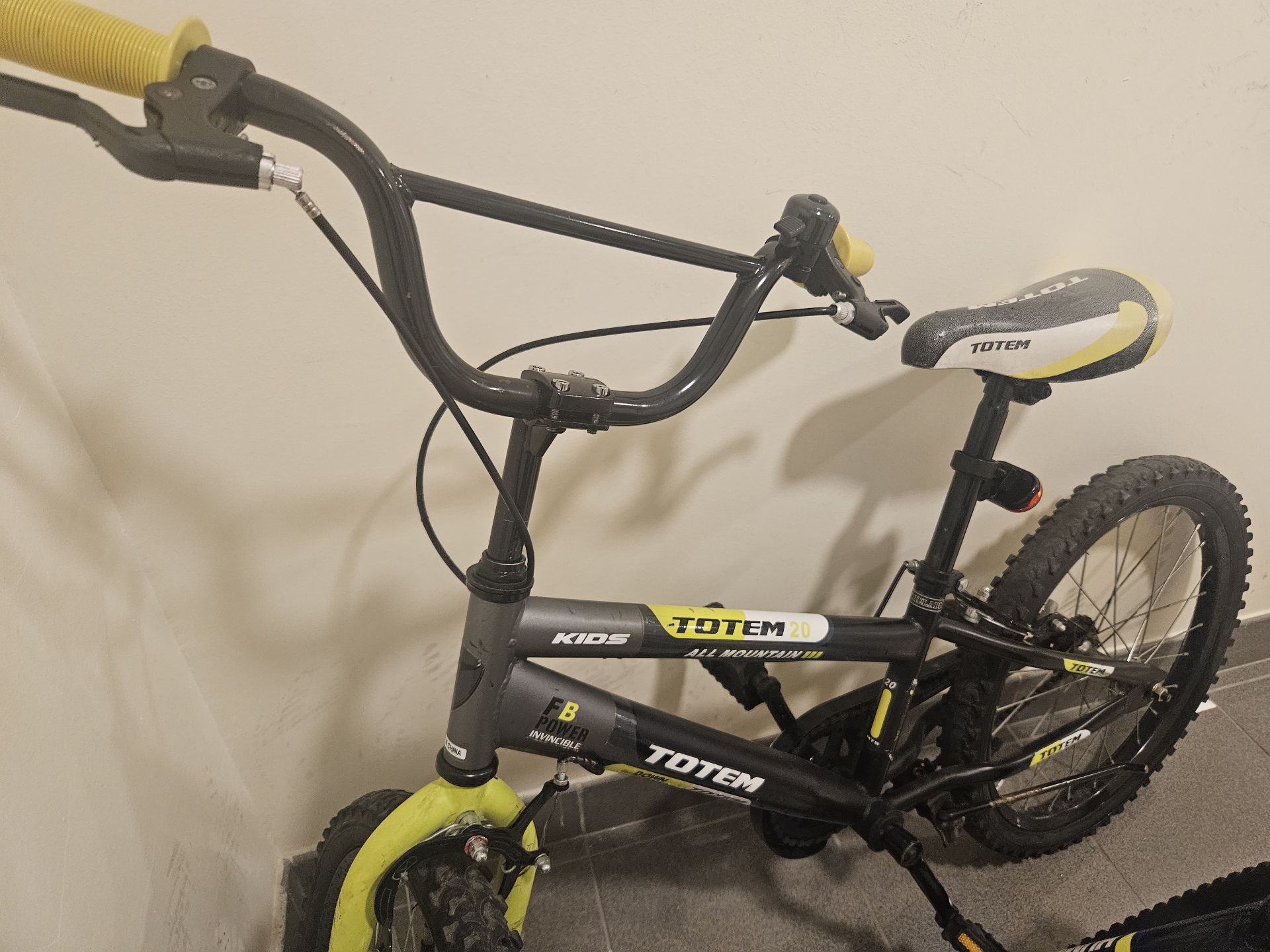 Size 20 Bicyle - Image 1