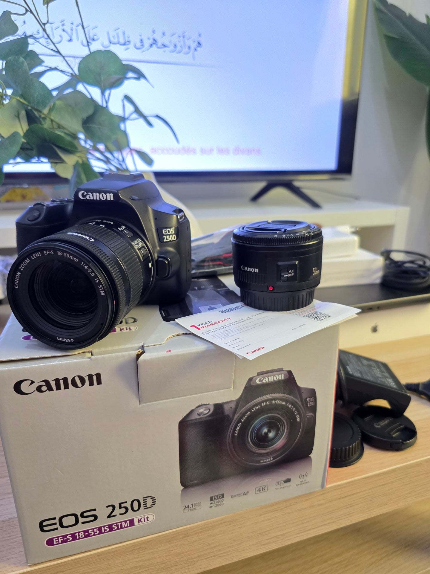 Canon Eos 250D EF-S 18-55 IS STM + Canon 50mm - Image 1