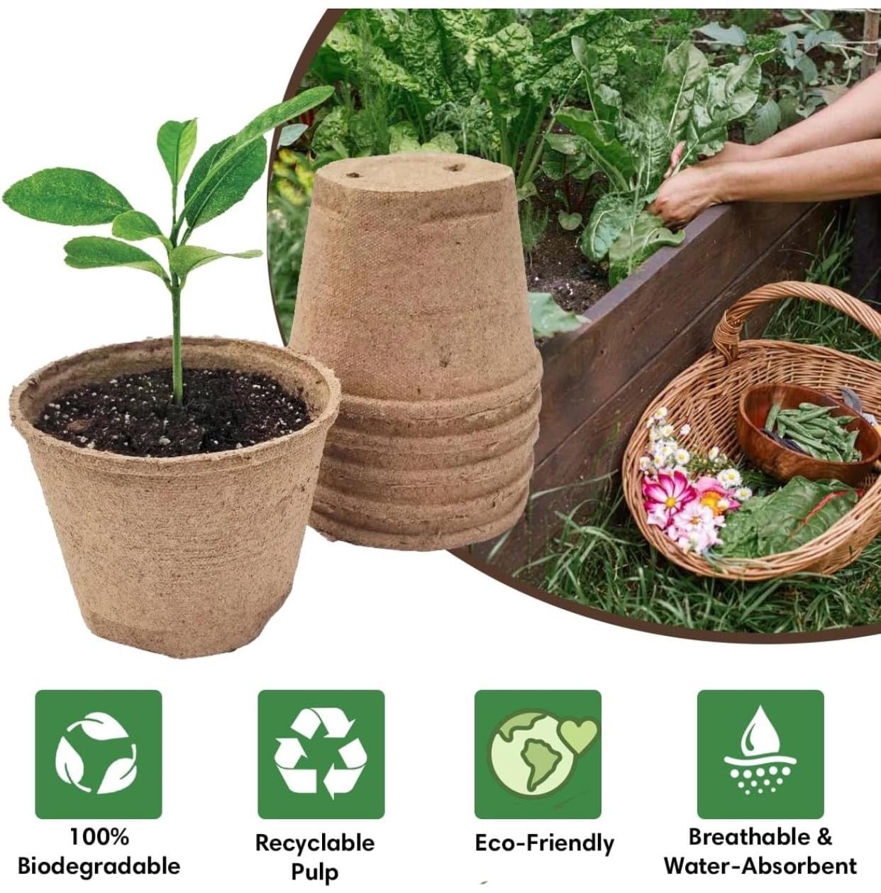 Coco coir pots -6  - Image 8