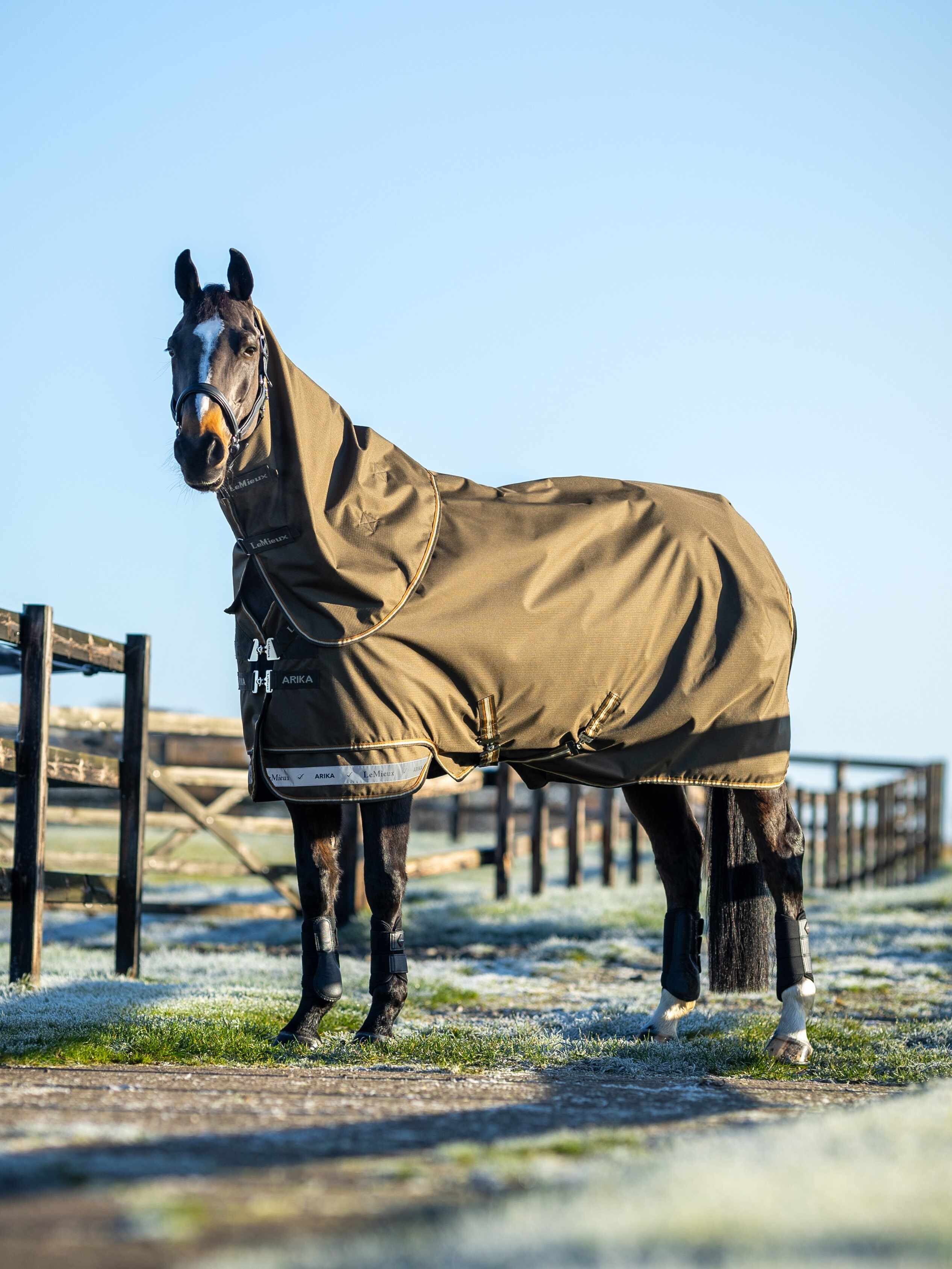 Arika Ripstop 100g Turnout Rug Alpine - Image 1