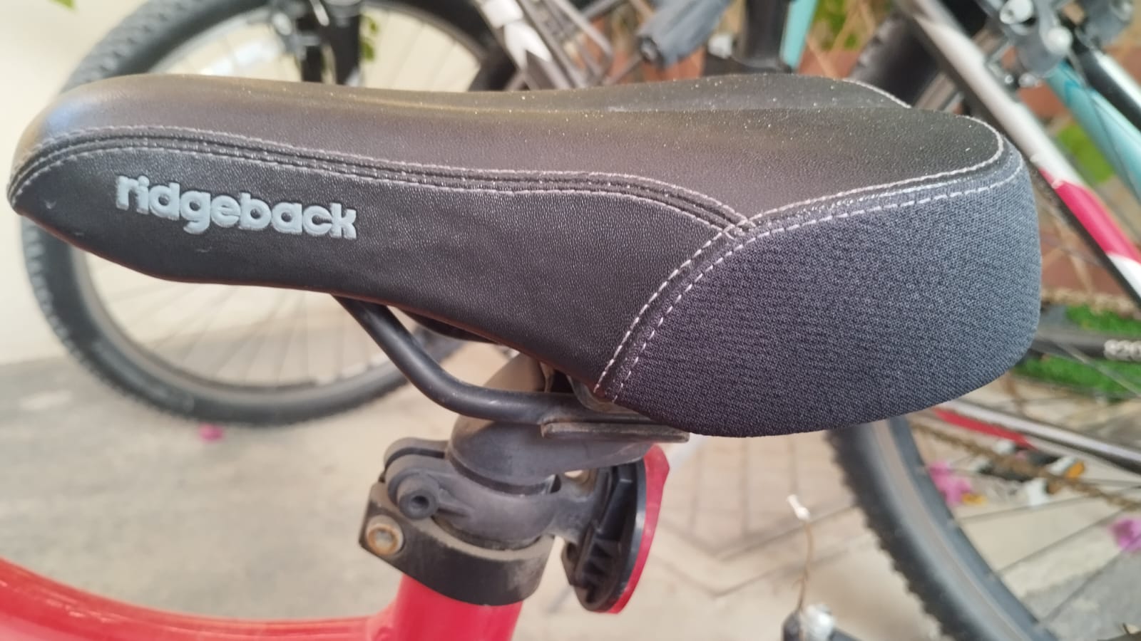 UK made Flagbike (ridgeback) kids bicyle for sale  - Image 3