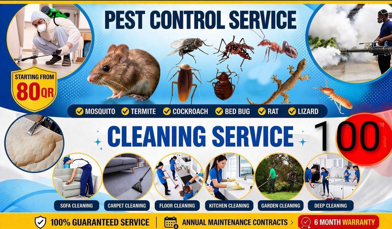 Cleaning and pest control services - Image 5