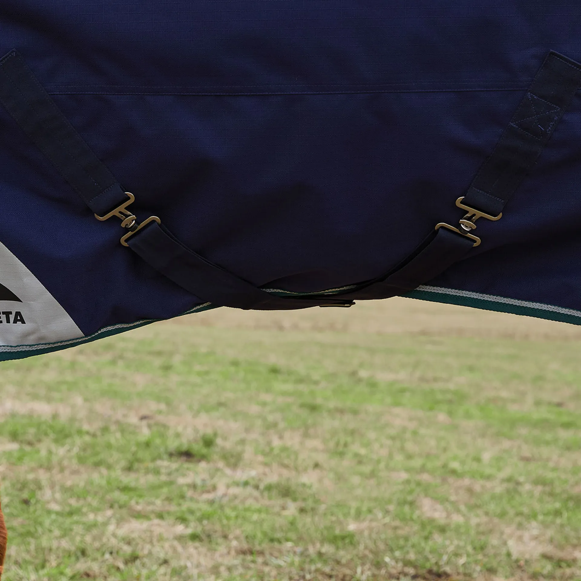 WeatherBeeta ComFiTec Plus Dynamic 0g Detach-A-Neck Turnout Rug - Image 4