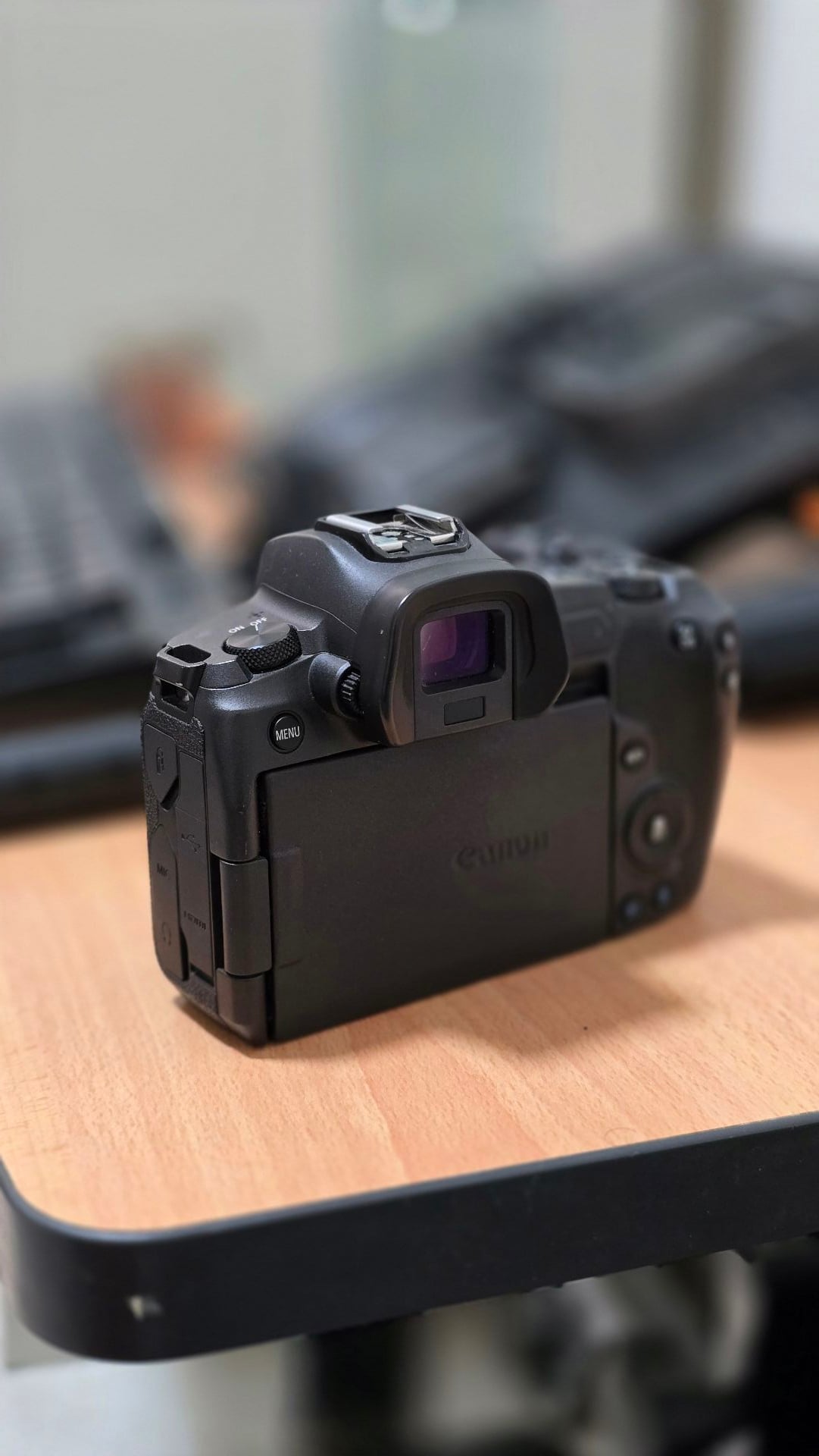 Canon EOS R  - Image 3