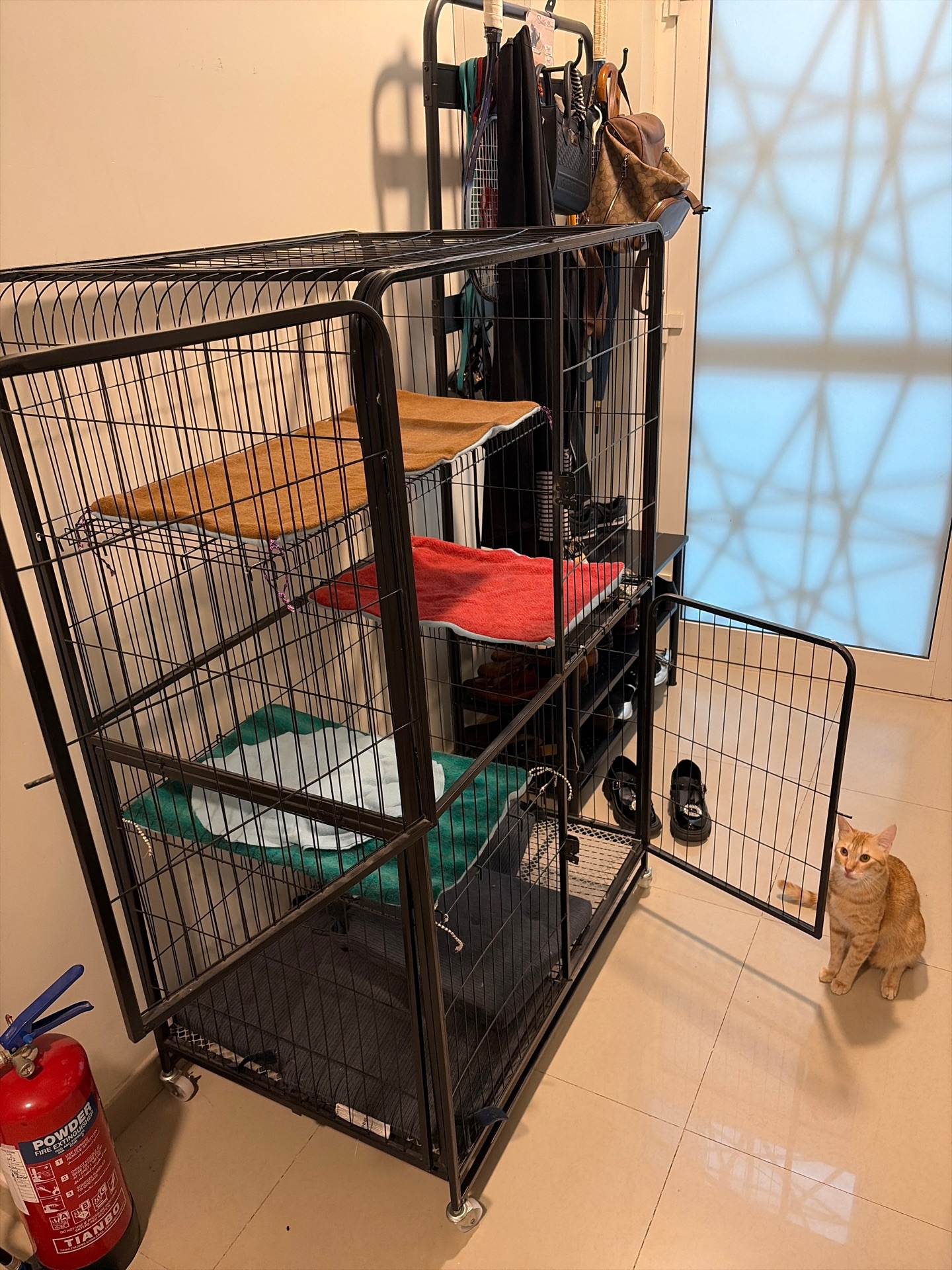 Premium Multi-Tier Pet Cage | Like New | Perfect for Cats & Dogs - Image 4