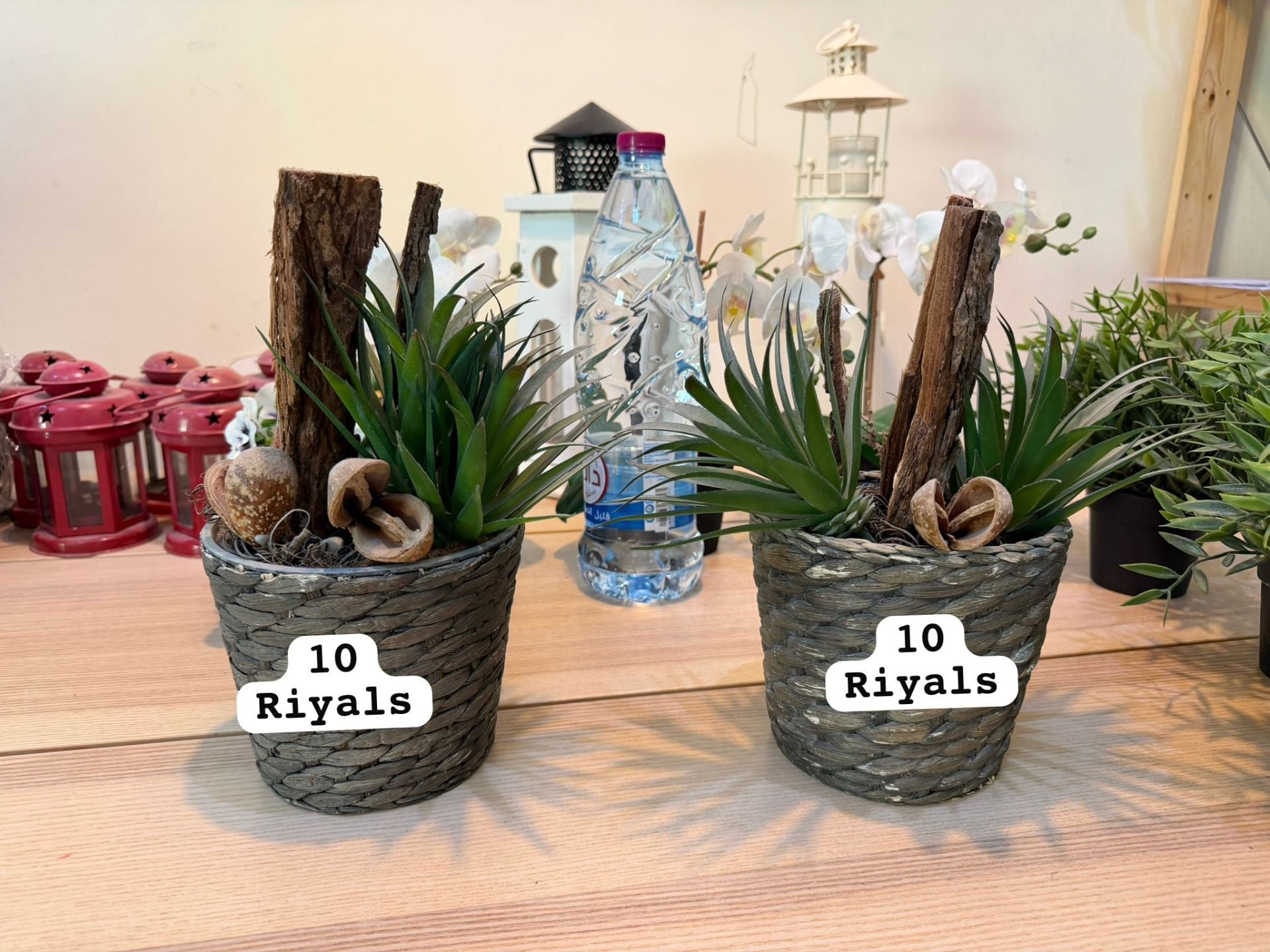Decoration items flowers and plants - Image 8