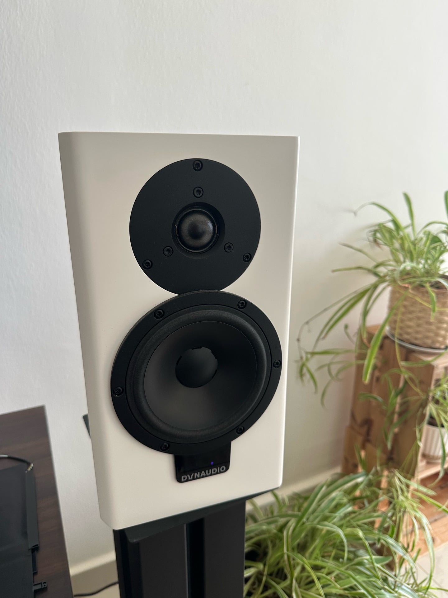 Dynaudio XEO20 active wireless HI-FI speakers - Image 3