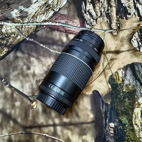 Canon 75-300mm zoom lens full fresh - Image 4