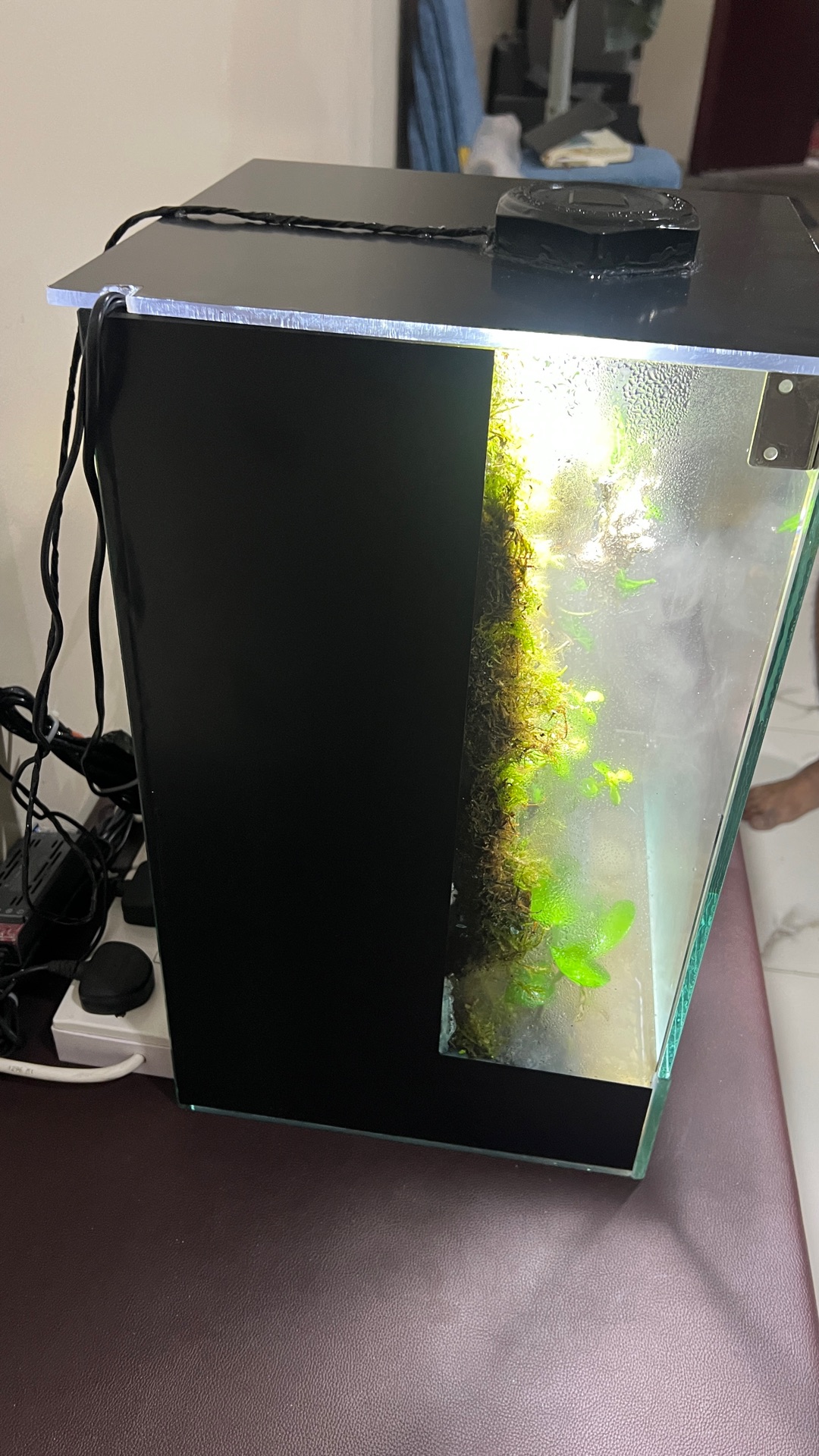  paludarium/terrarium for sale  - Image 9