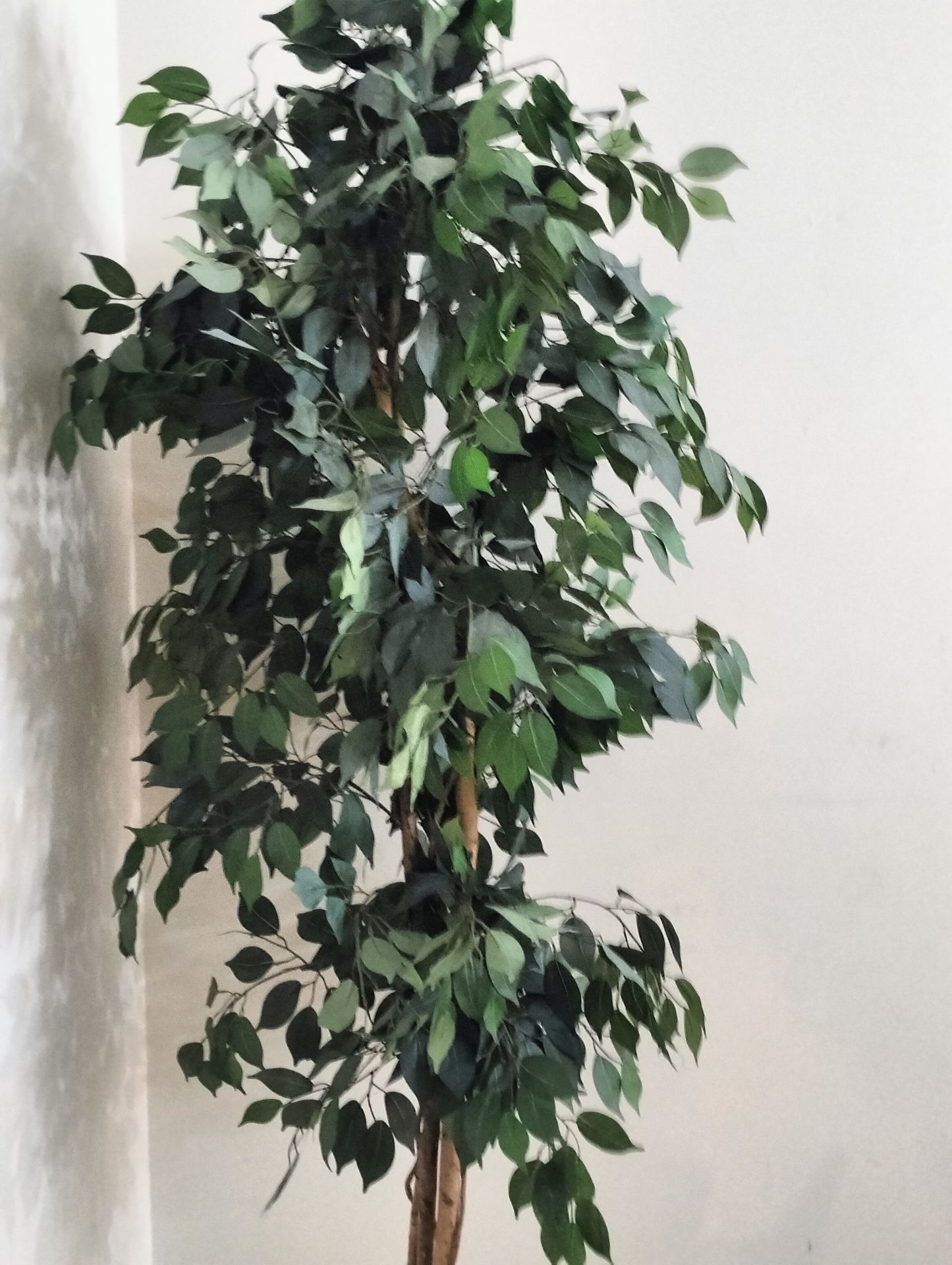 Artificial plant - Image 8