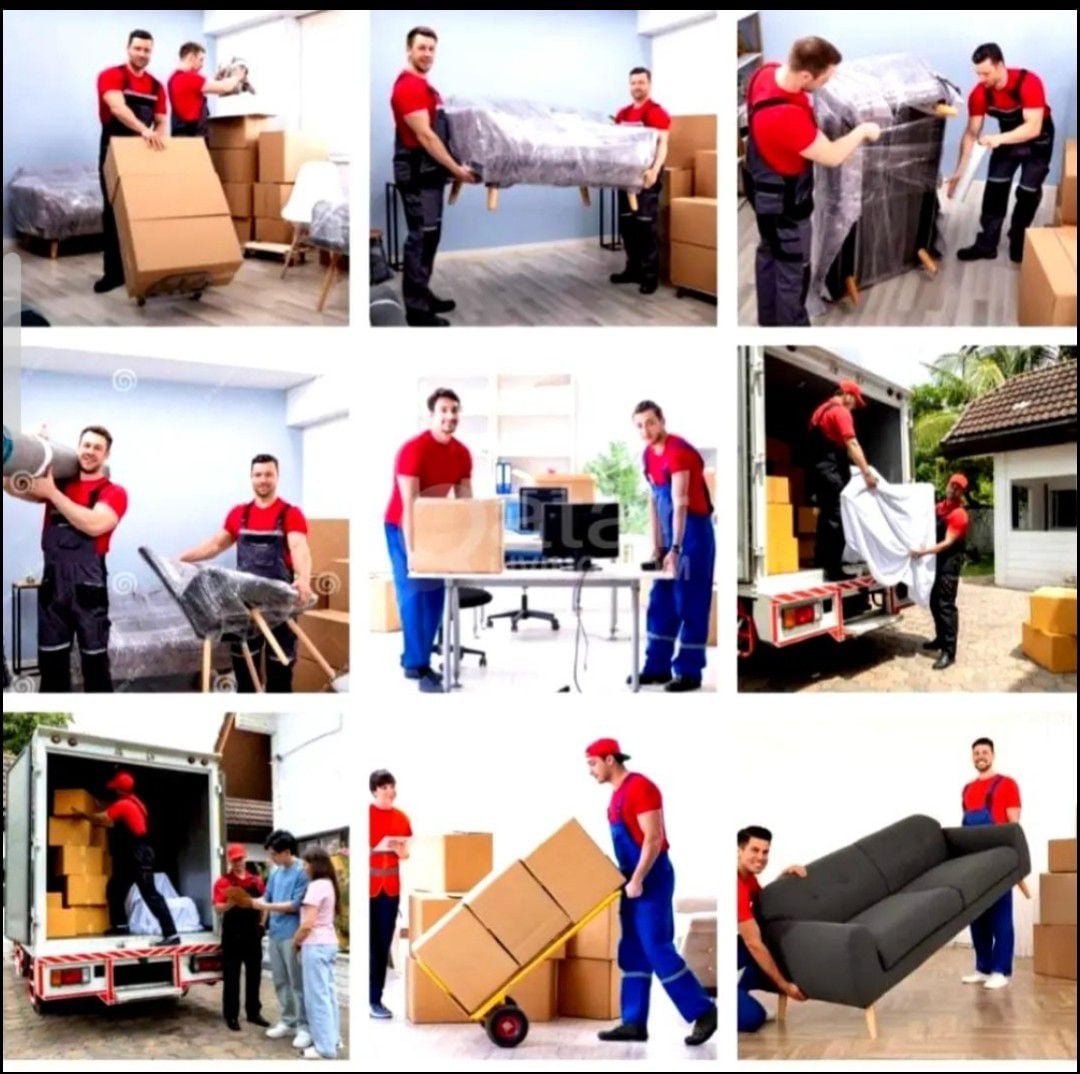Best prices-Moving shifting packing carpentry transport - Image 2